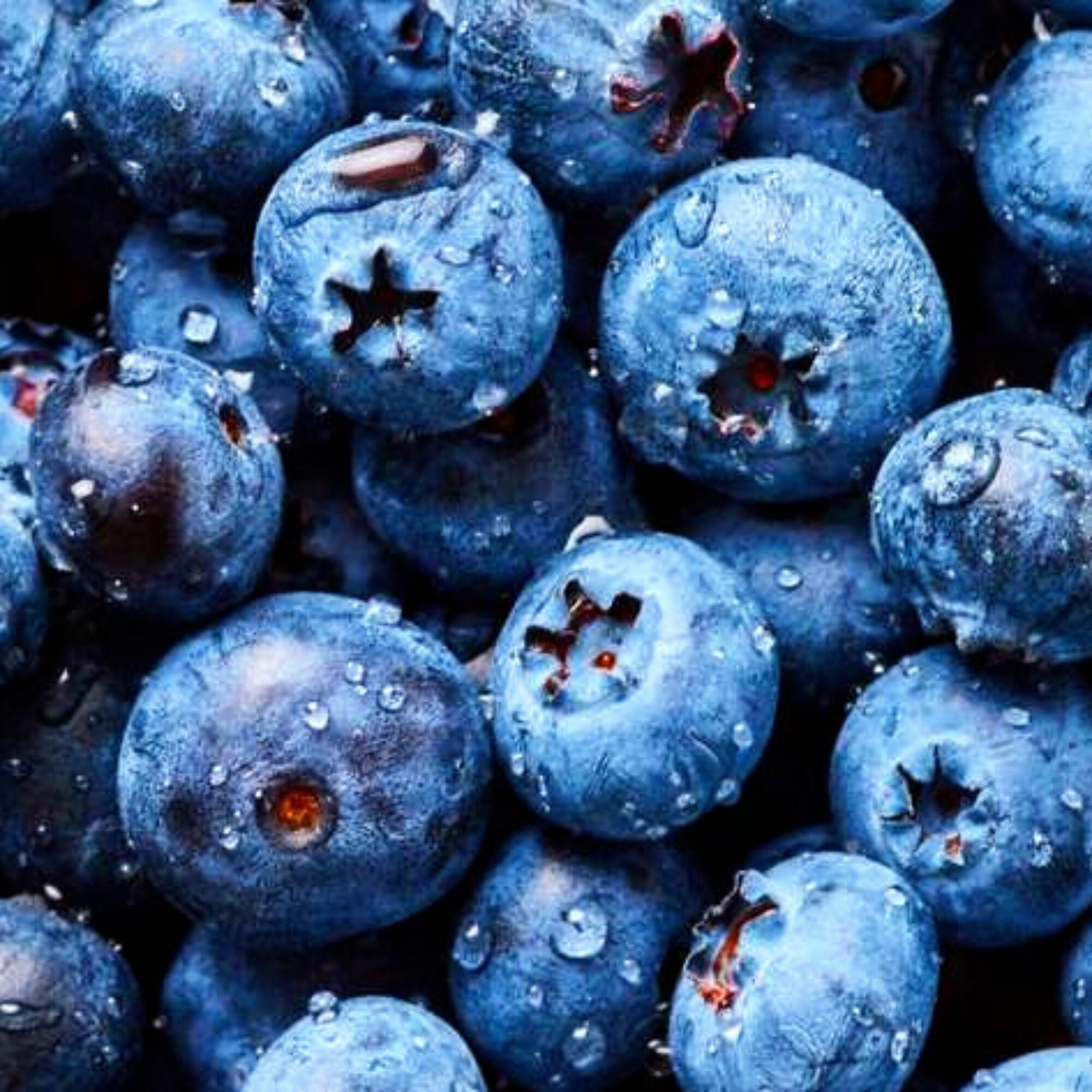 There’s no such thing as a superfood