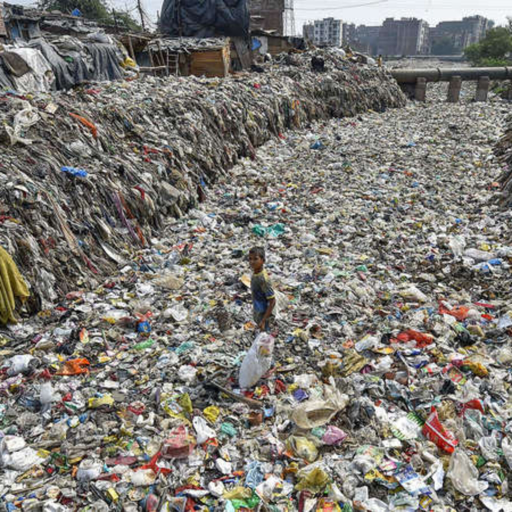 Why does almost no one pick up litter?