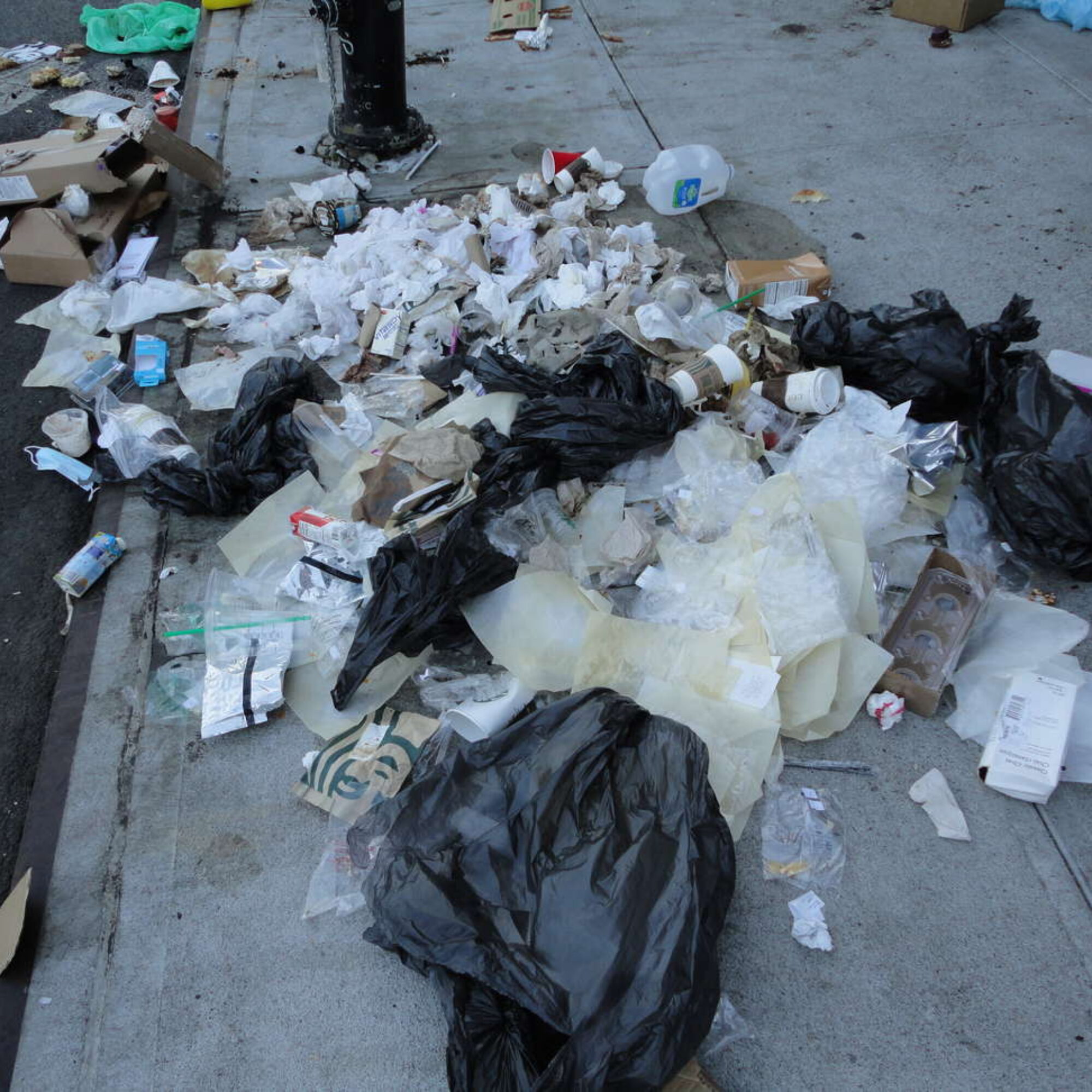 A billion-dollar simple (partial) solution to litter