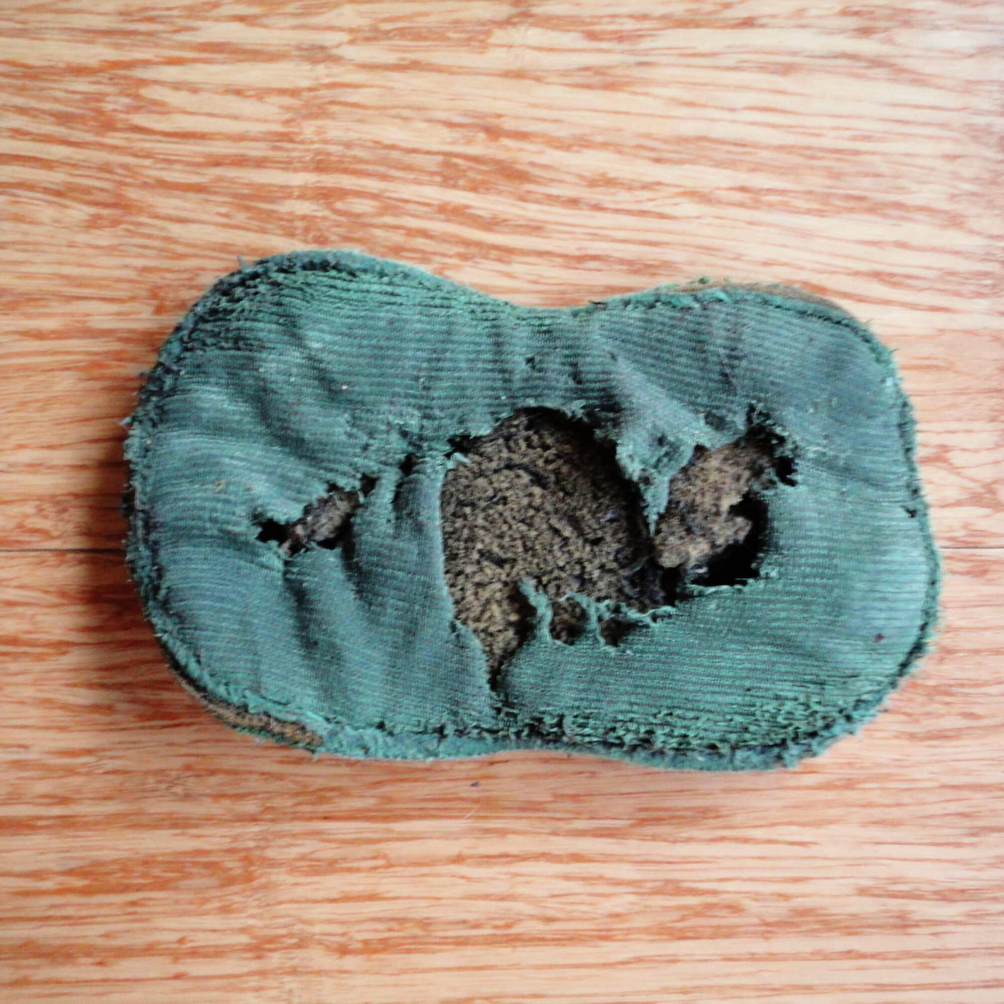 Why you shouldn’t live sustainably (not really): Coming clean about my shameful sponge