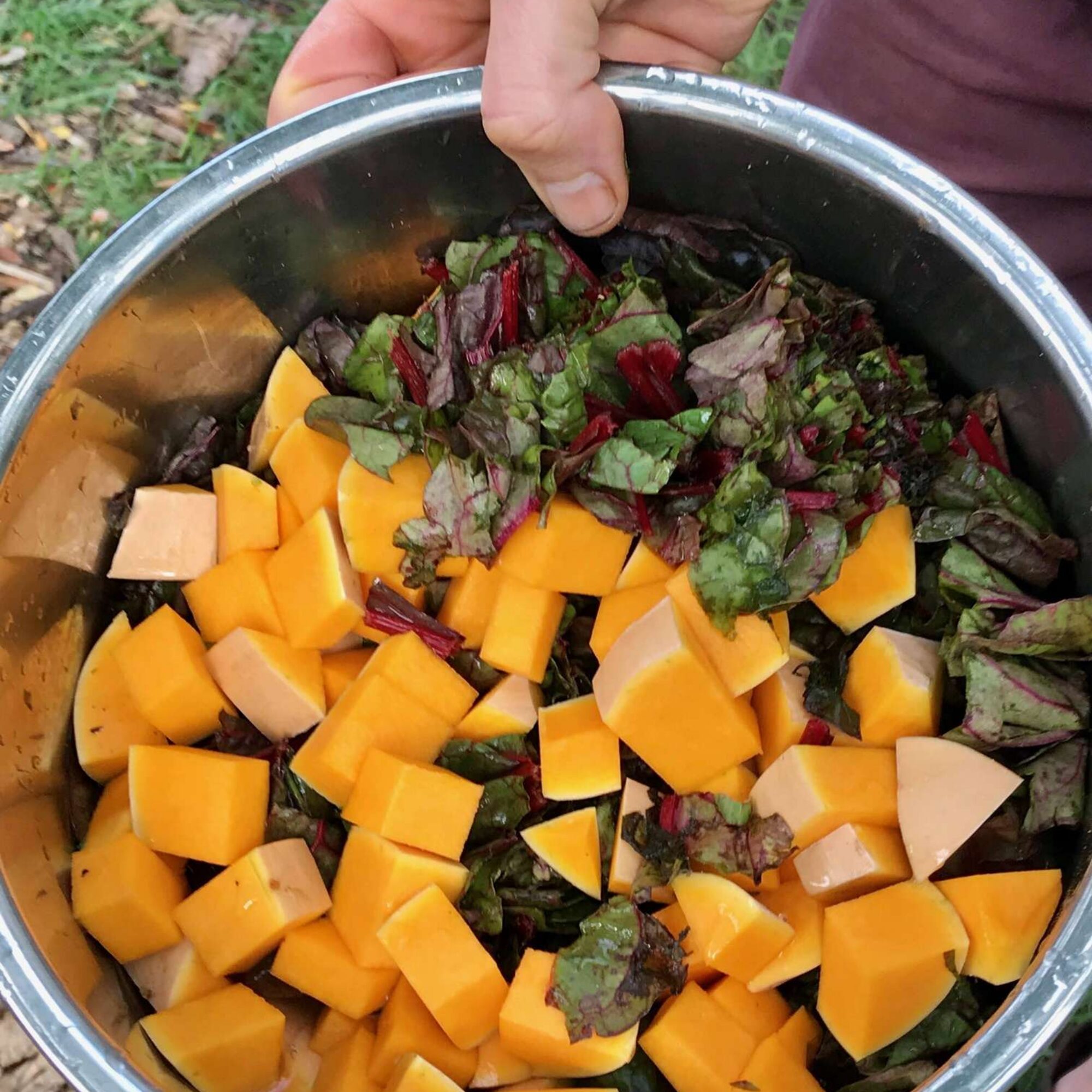 Notes from a reader who made famous no-packaging vegan stew from my video