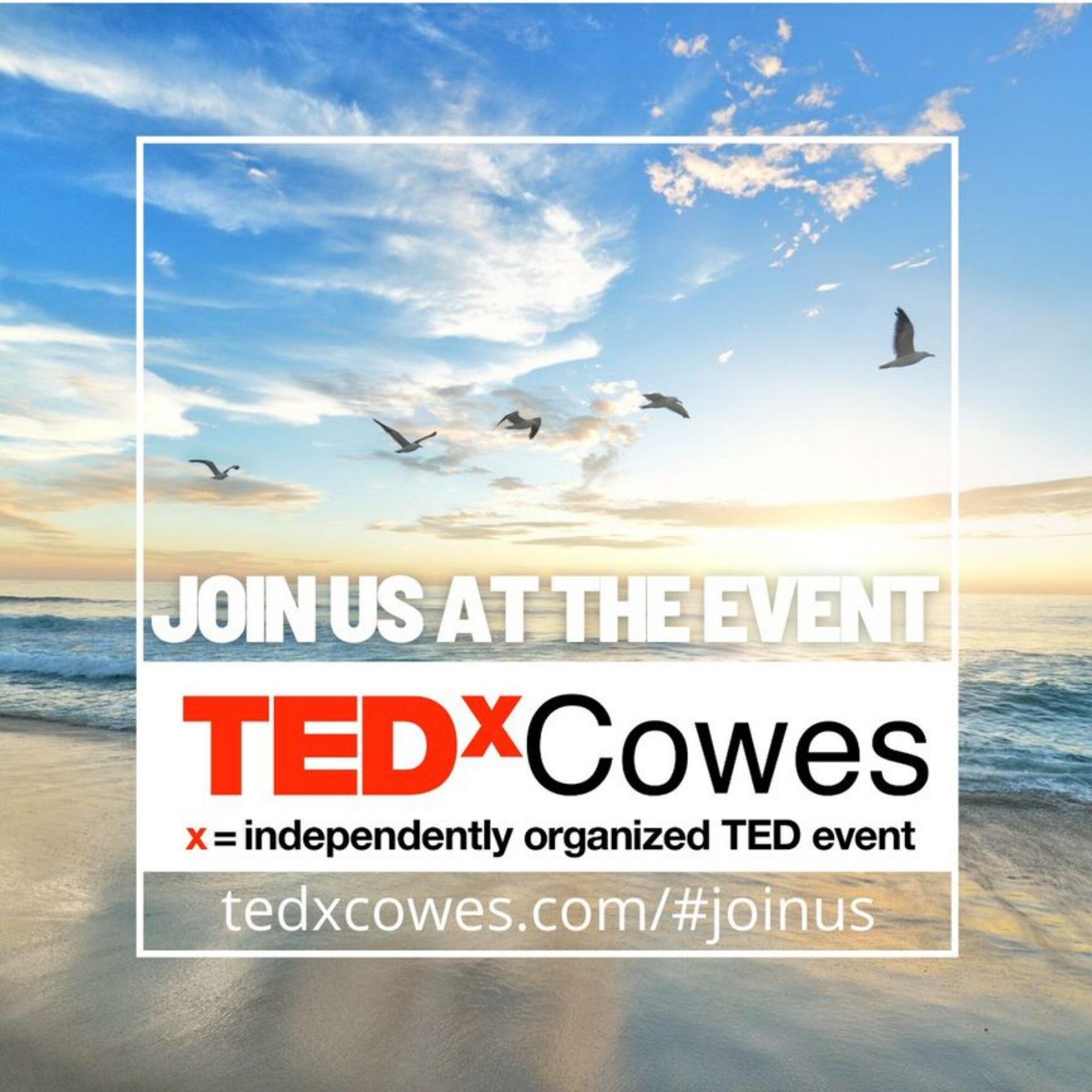 My fourth TEDx talk: Don’t call Doof Food: systemic change begins with personal change