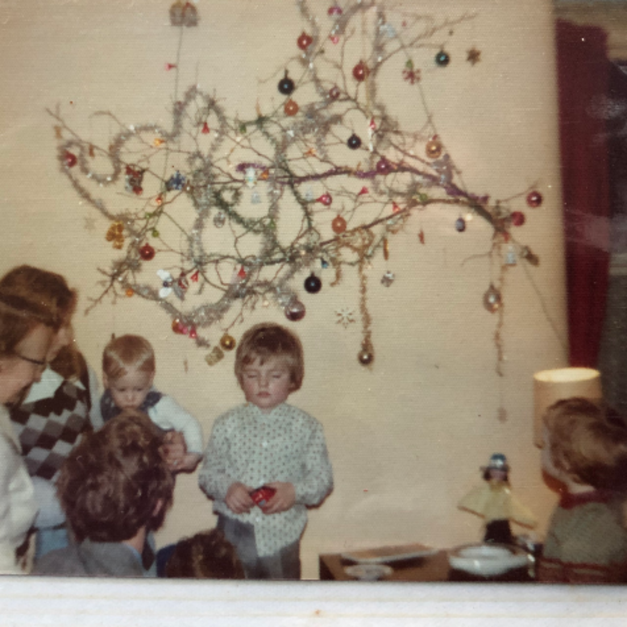 Before buying a Christmas tree: A reader shares how his family celebrates Christmas without chopping down trees
