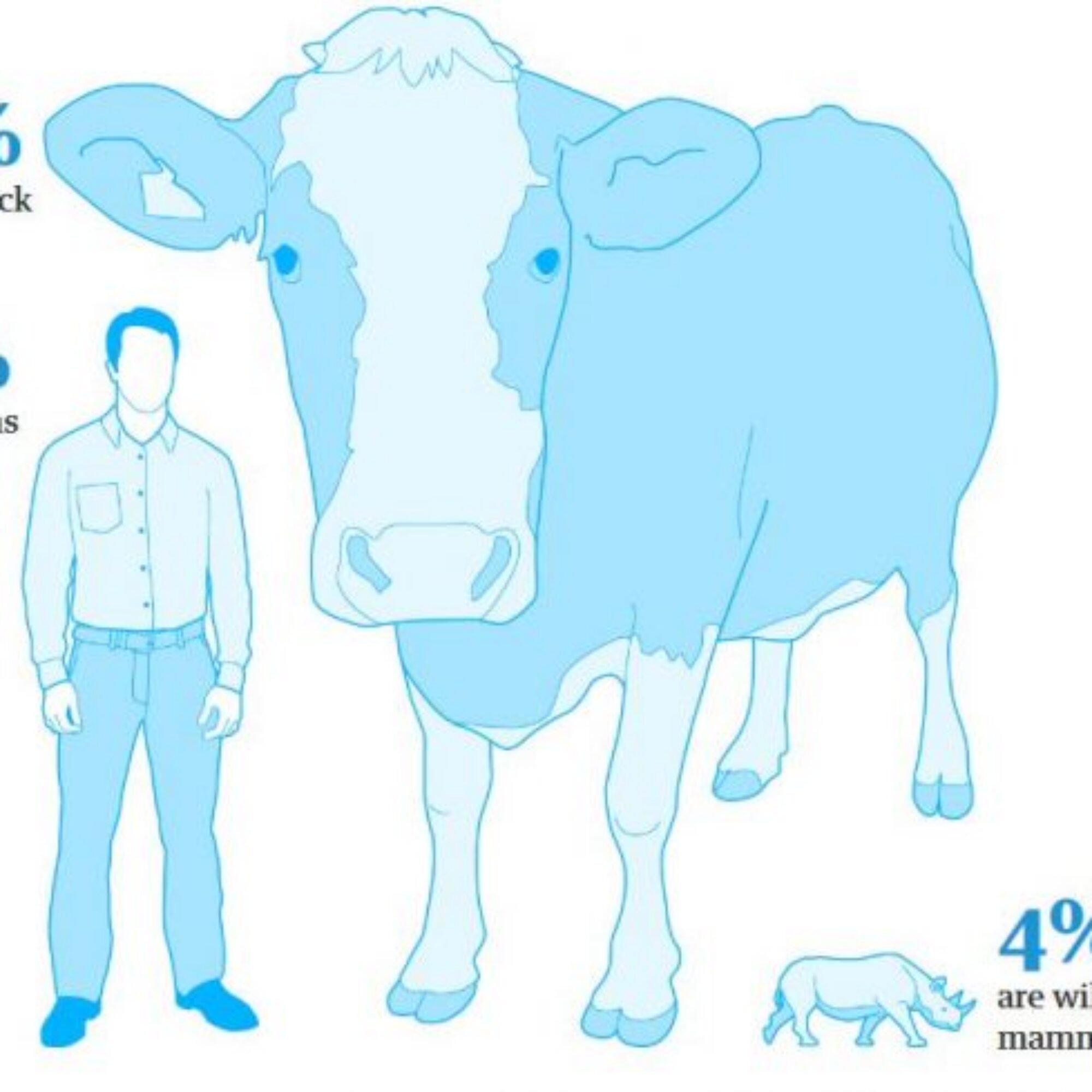 I’ve never met a vegan vegan
