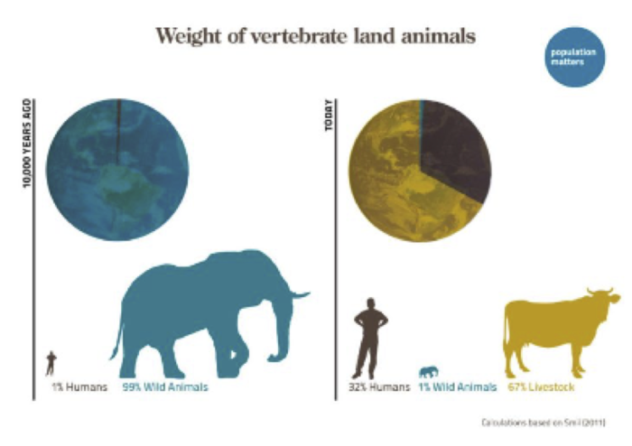 weight vertebrate land animals