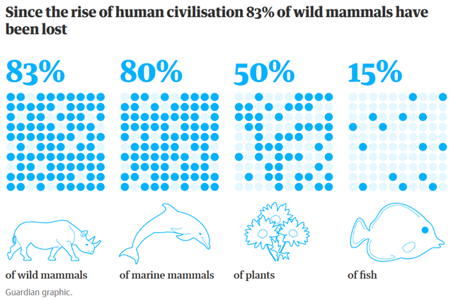 wild mammals lost
