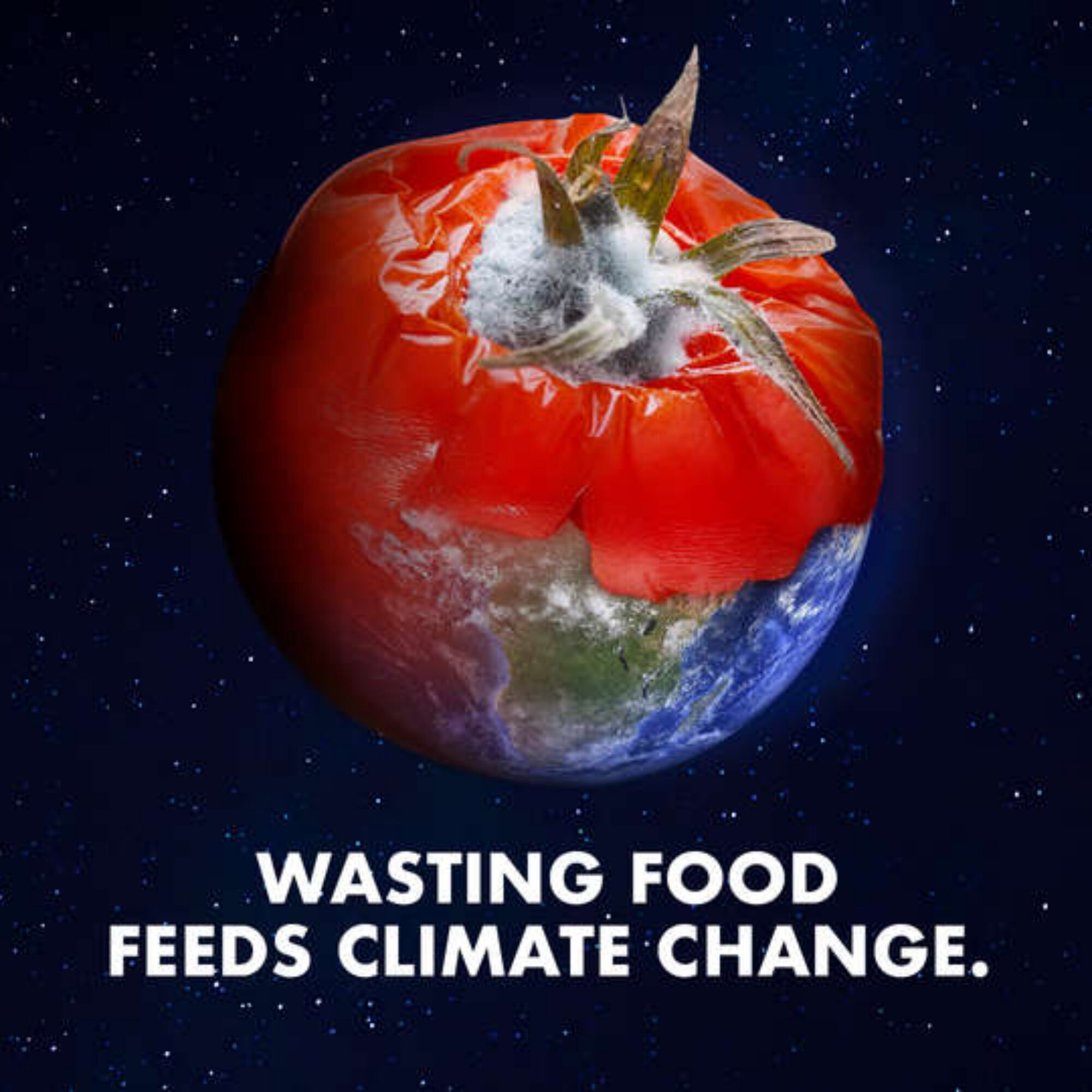 Everyone acts shocked and outraged at how much food we waste, but happily wastes.