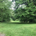 My sledding hill in May