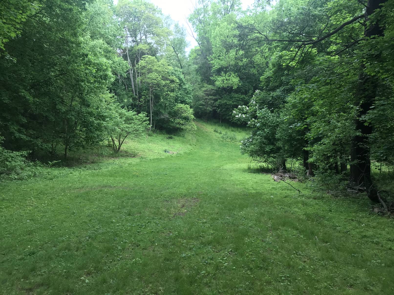 my-sledding-hill-in-may-joshua-spodek