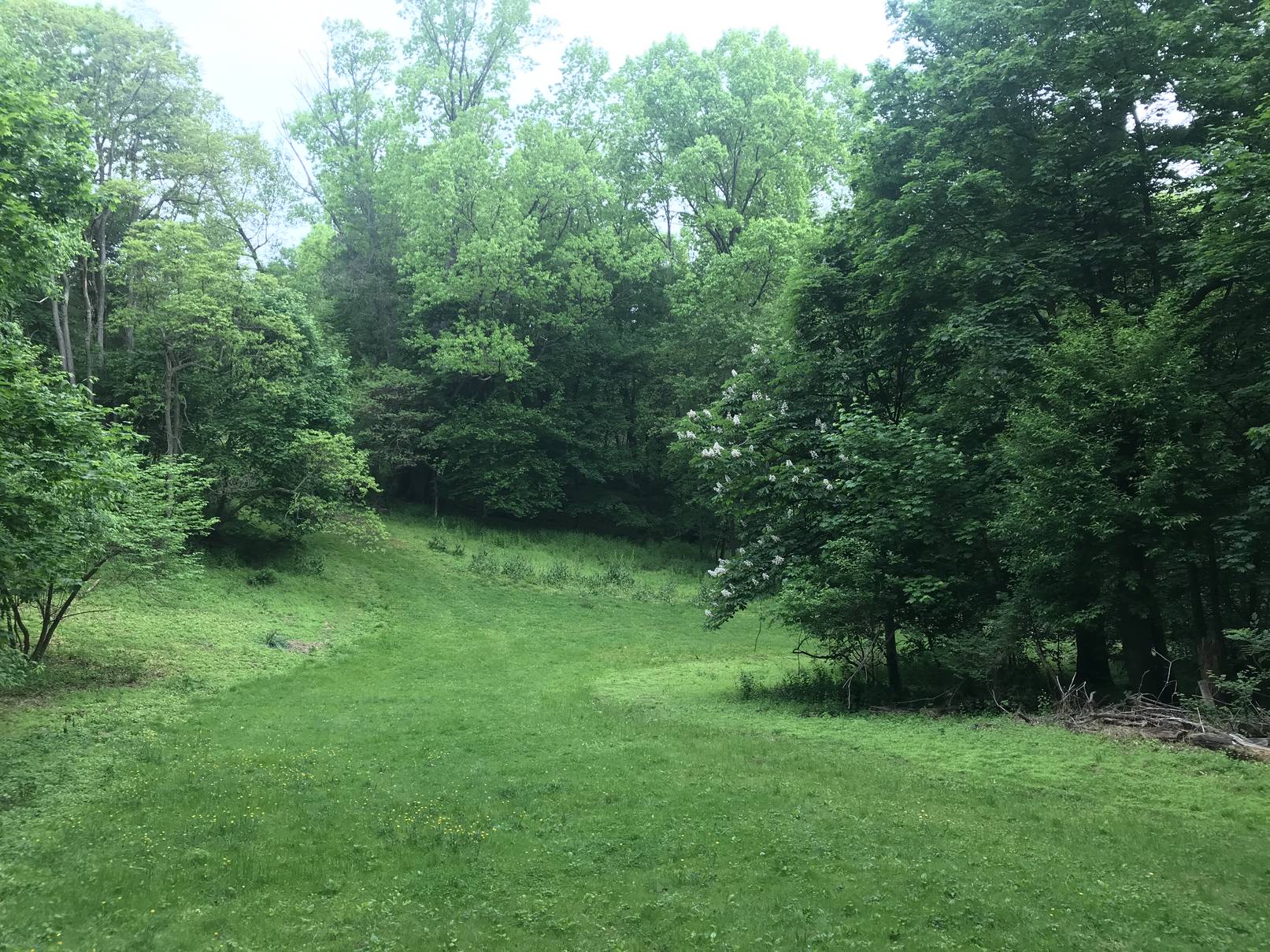 My sledding hill in May » Joshua Spodek