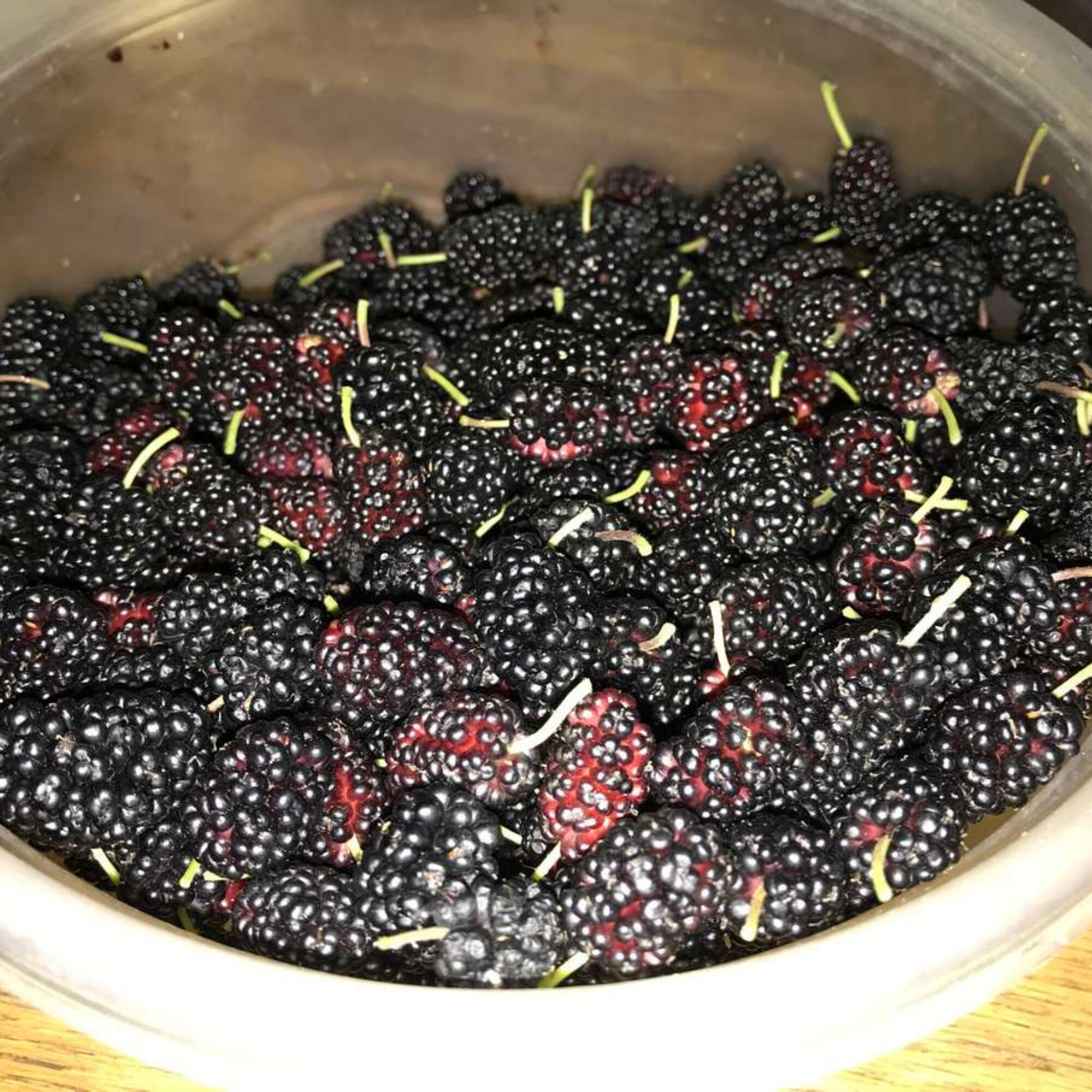 Countering my posts on garbage: Mulberries!
