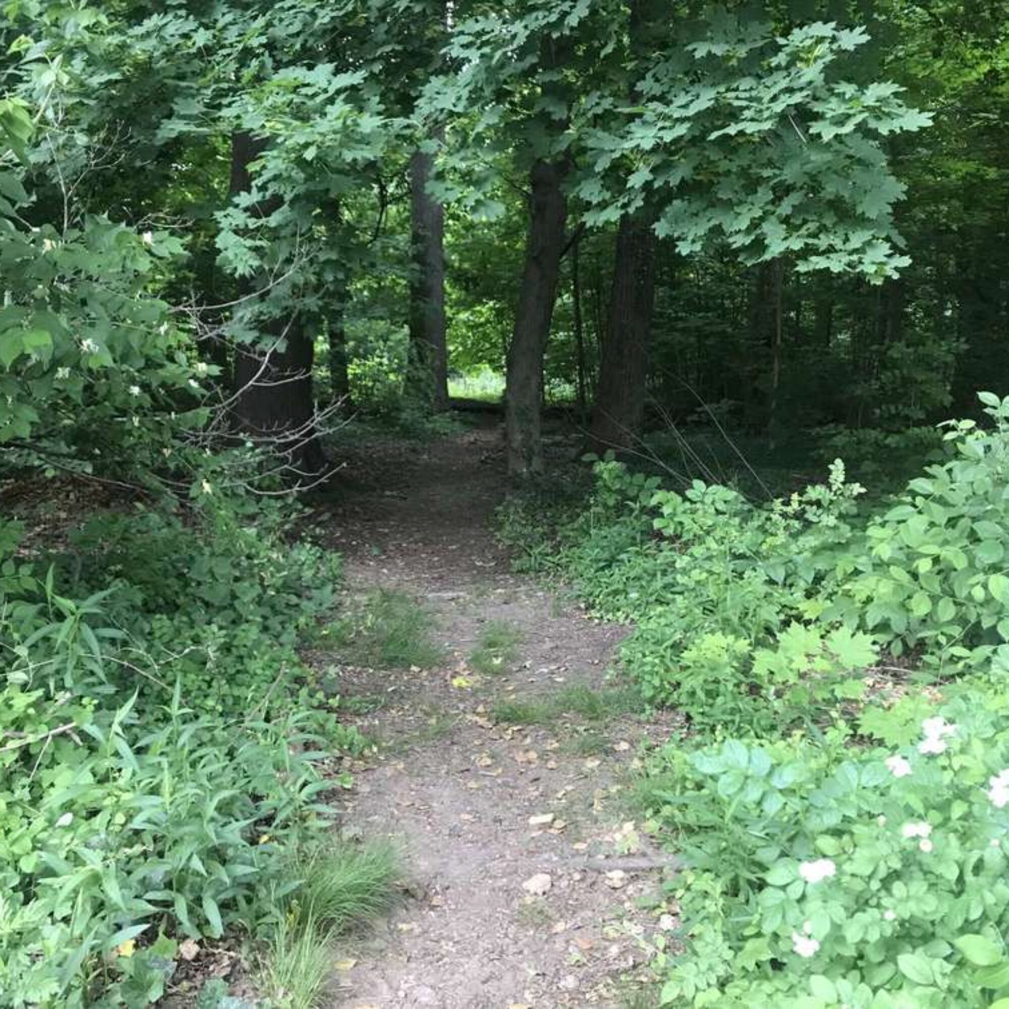 First we pave more land nearby and it’s no big deal…