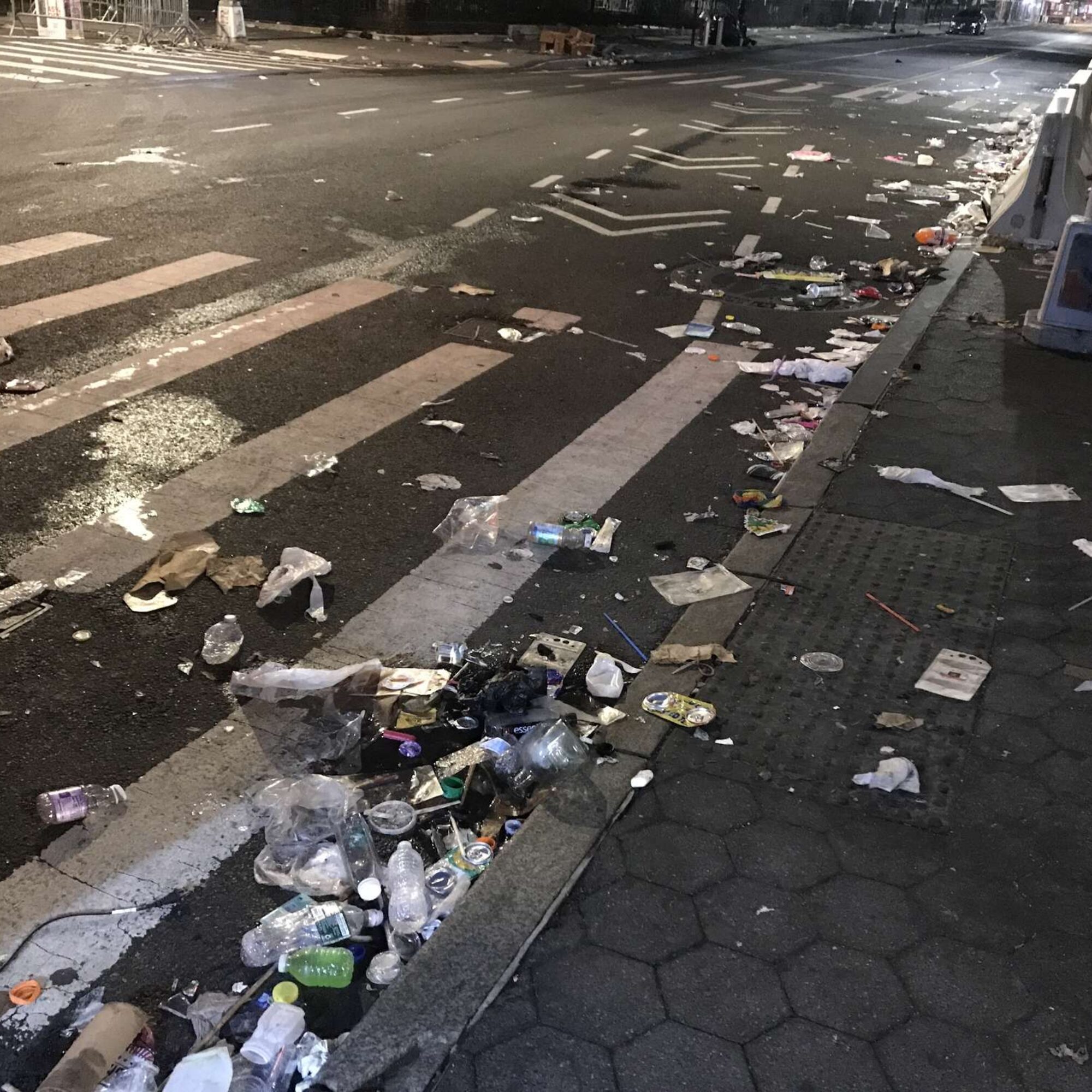 Imagine the density of litter was birds and mammals. That’s what our world was like.