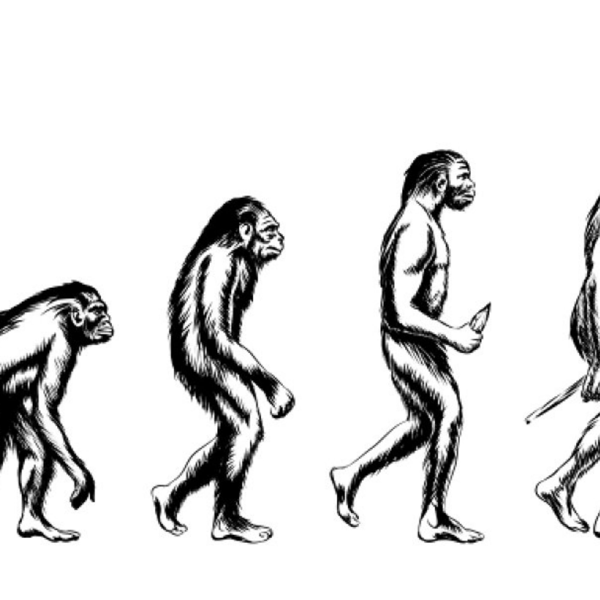 The stages of environmentalism leading to counterproductive work or capitulation (and how to avoid them)