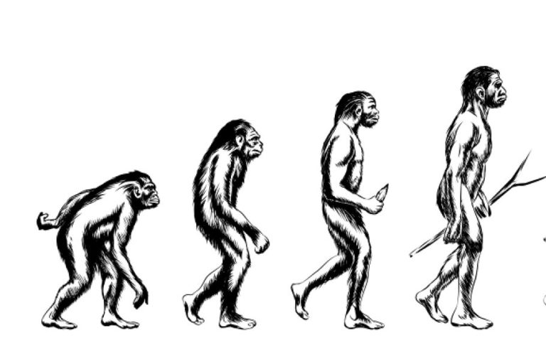 The stages of environmentalism leading to counterproductive work or ...
