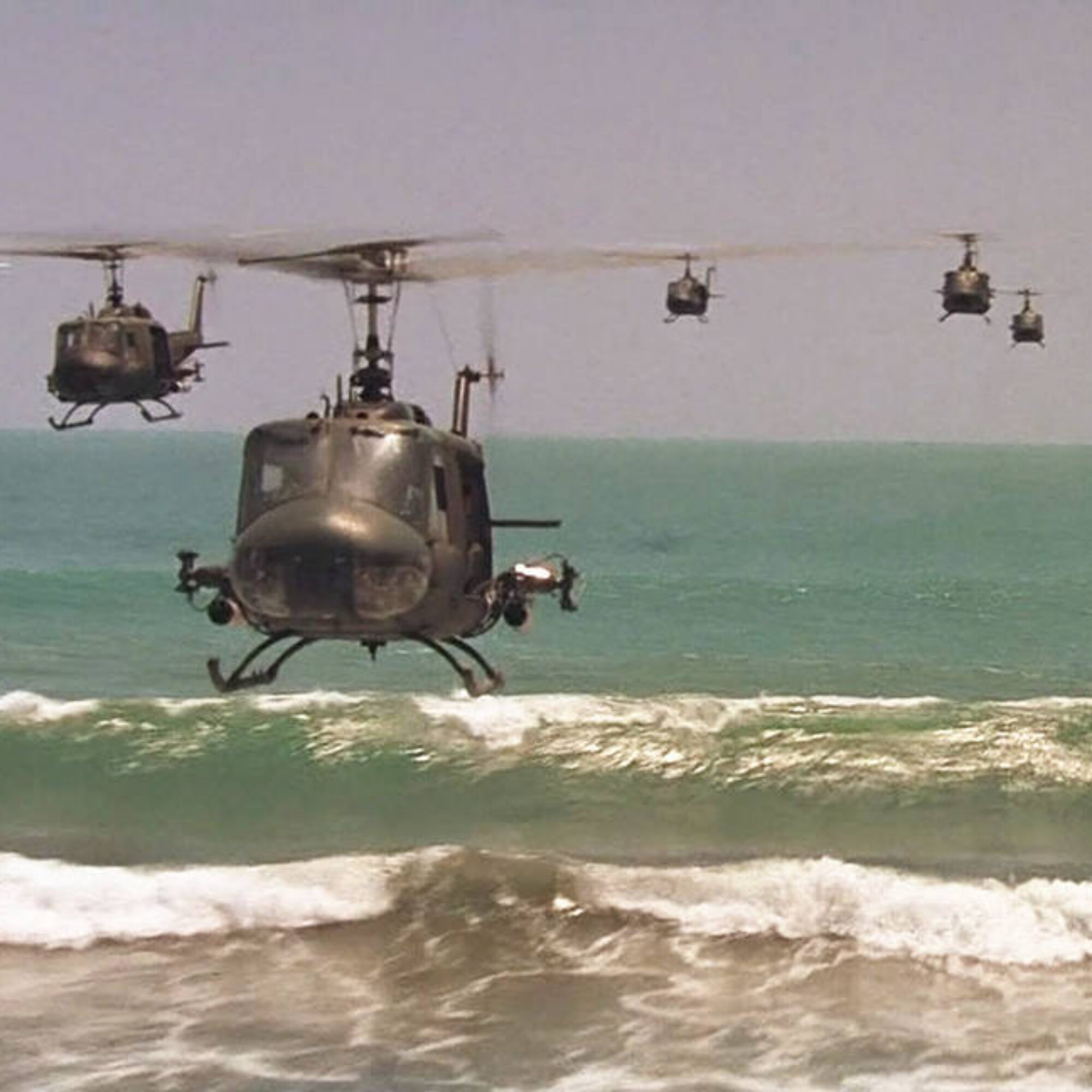 Should there be more birds or planes and helicopters, even in cities?