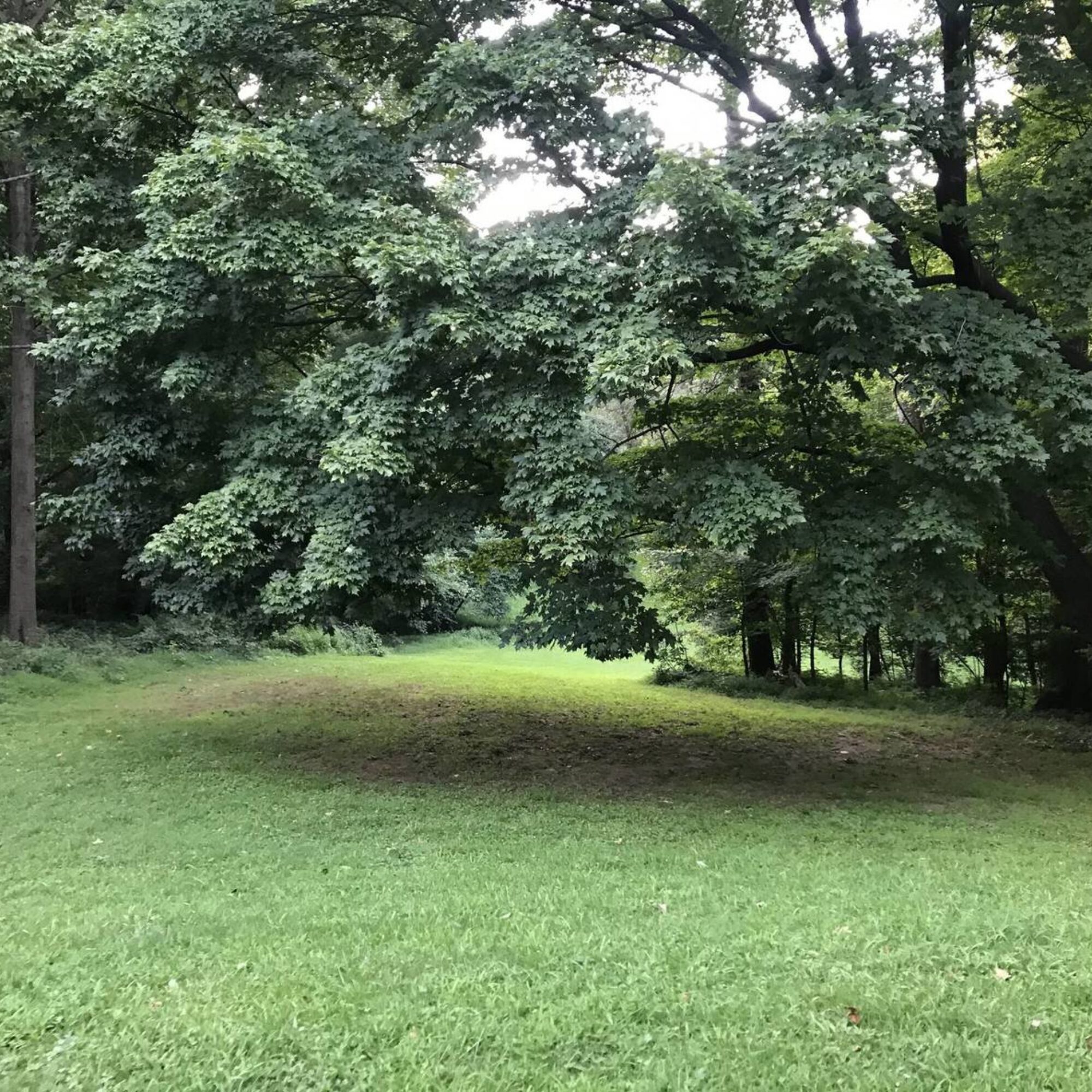 My Sledding Hill, August 2023