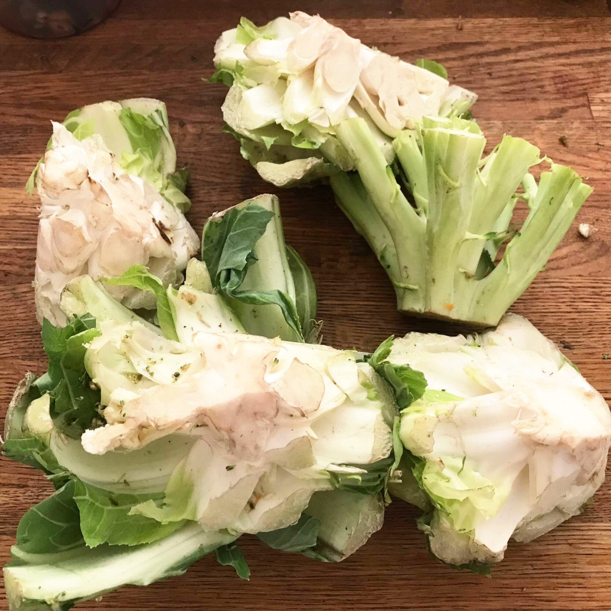 Foraging urban food waste