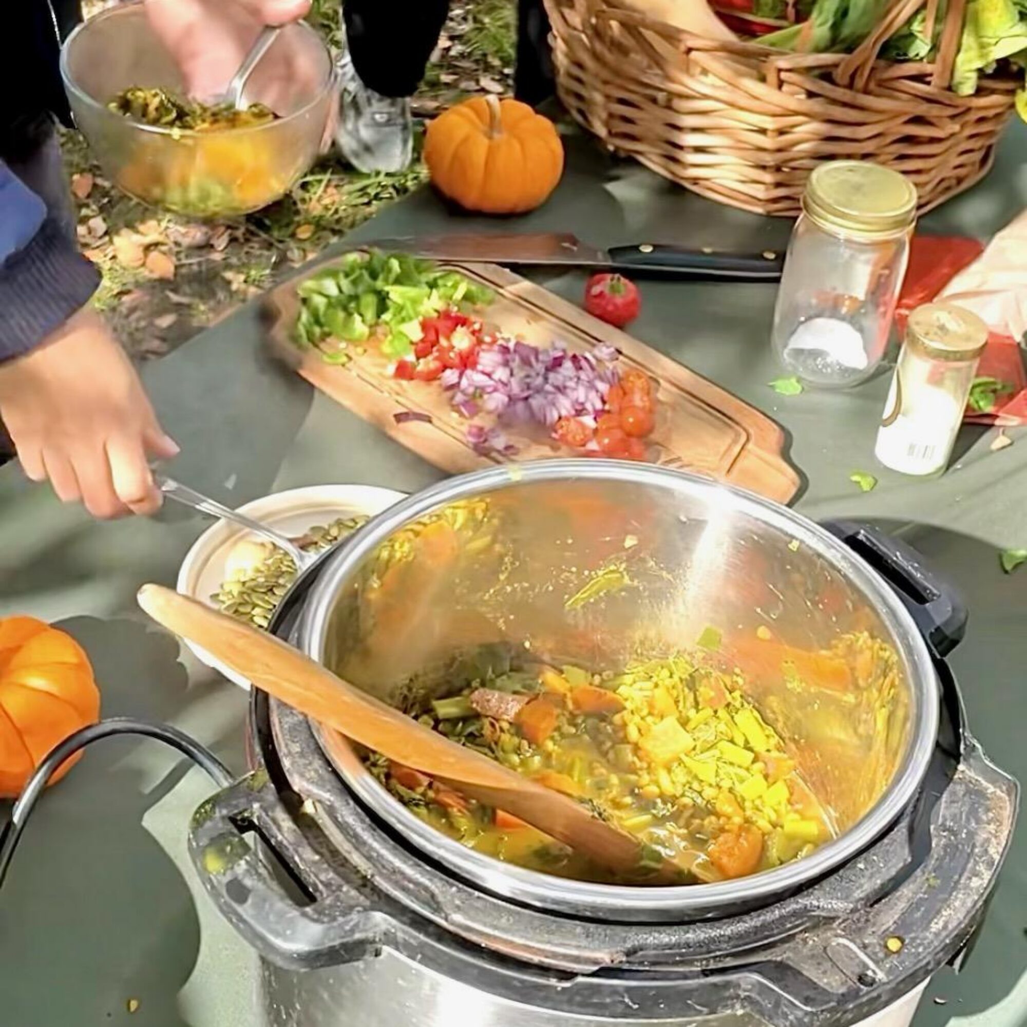 Watch me cooking my famous no-packaging vegan solar-powered stew at a workshop at Drew Gardens, Bronx NY
