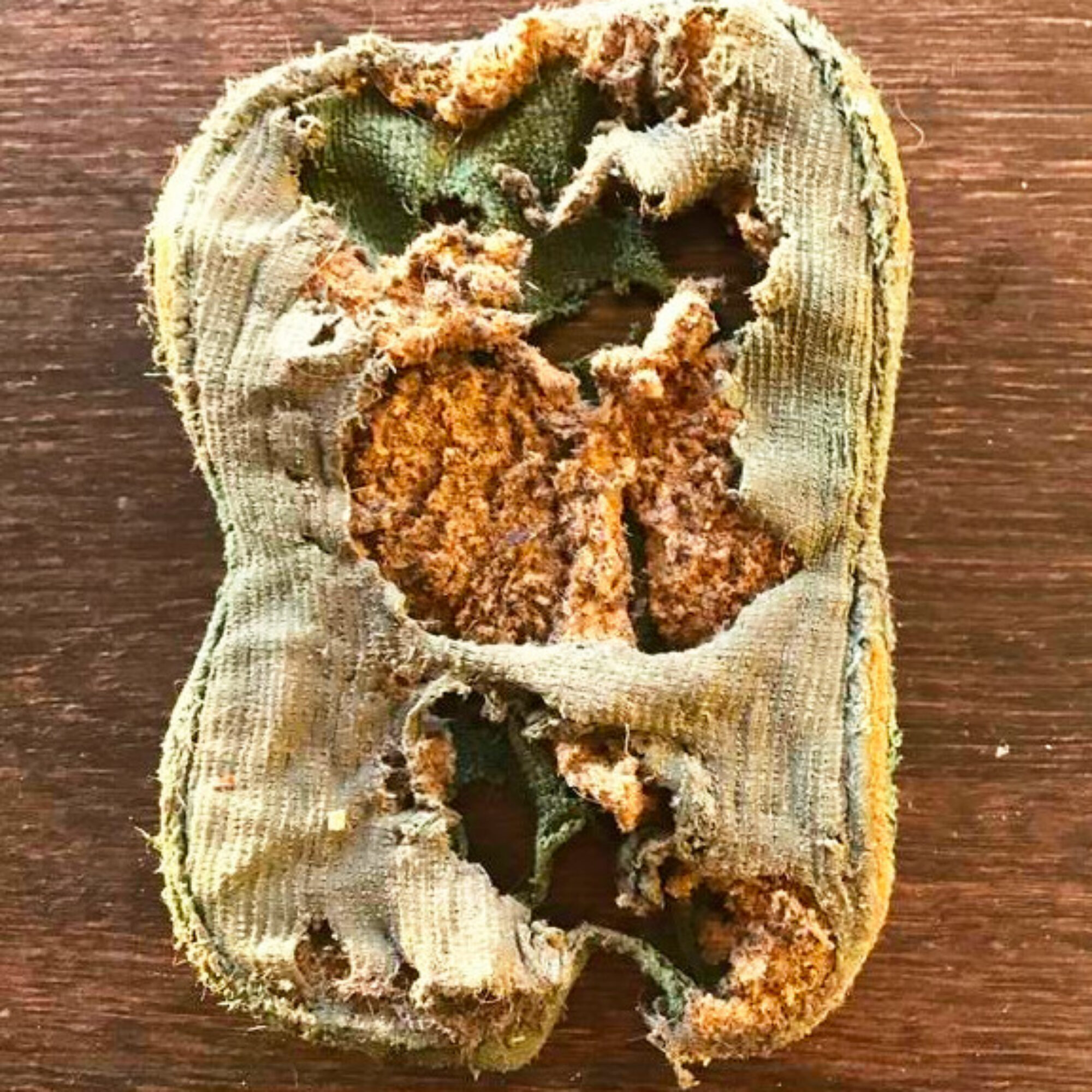 I will stake my floor as clean as anyone’s, but the sponge I clean it with is nearing the end of its life