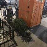 *Sigh* More Christmas Pagan Trees being thrown away. Wasn’t a month of trashing them enough?
