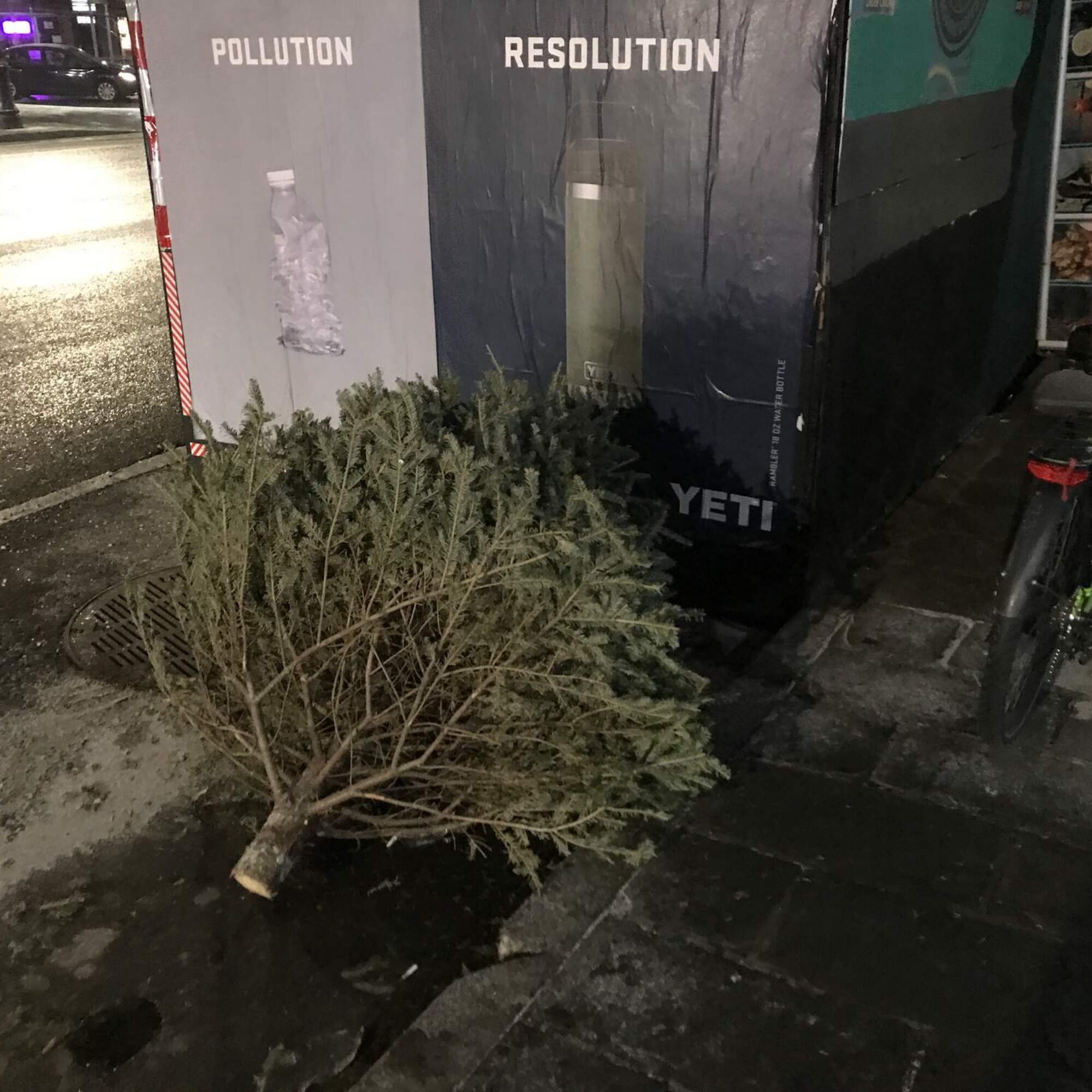 A month after Christmas and still dumping Christmas Pagan trees. Who needs trees? Why not chop them down and send them to landfills?