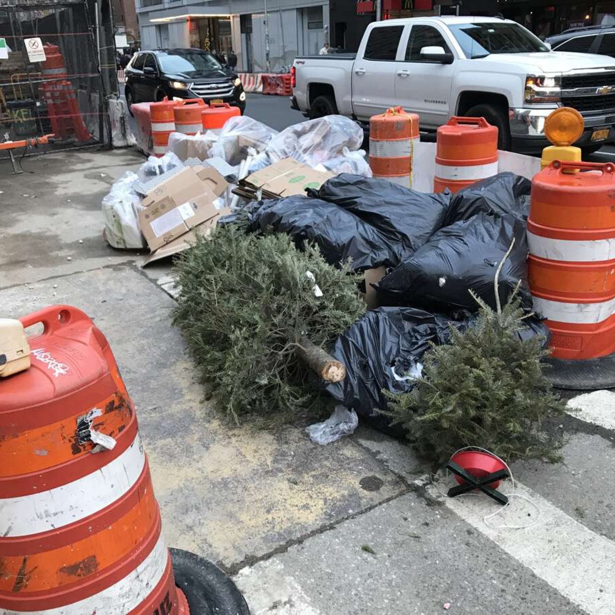 Christmas trees being thrown away after a few days’ use, part 1. Lovely pagan tradition, people.