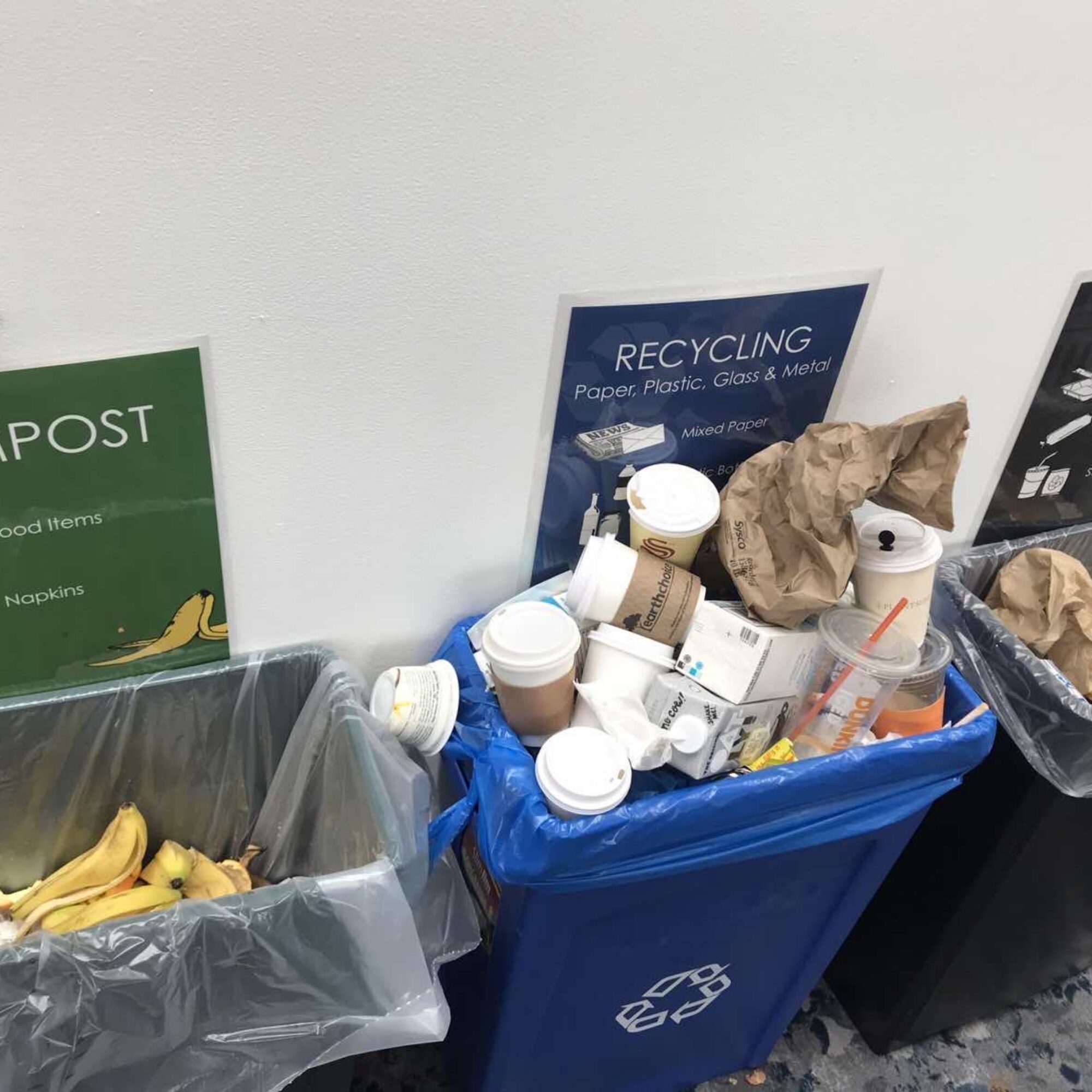 Climate Reality Leadership Training garbage