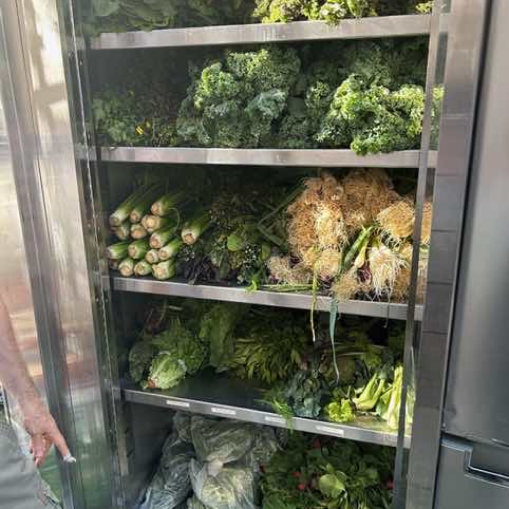 Volunteering: I just helped deliver a mammoth summer load of vegetables to the community fridge