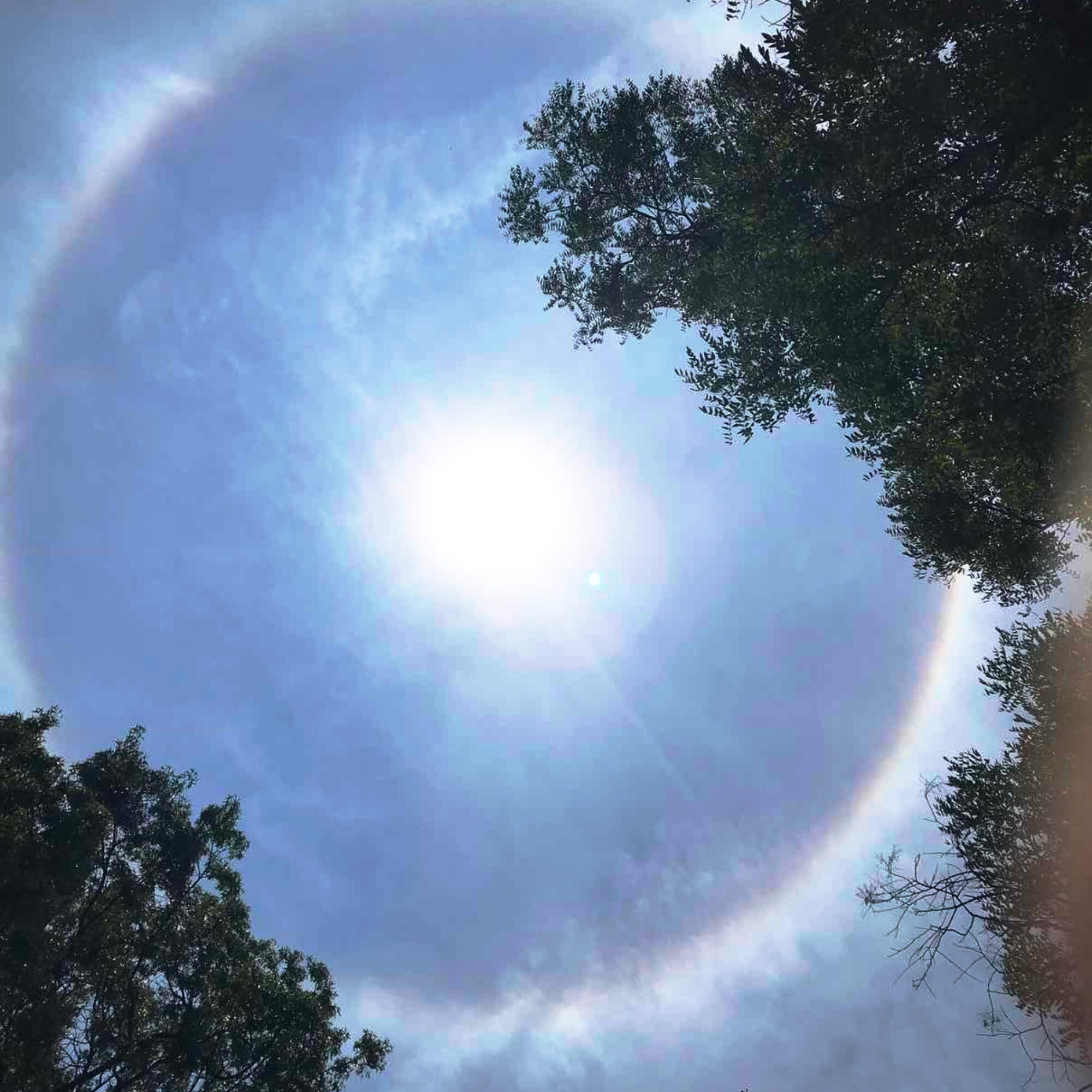 A rare 360 degree rainbow in the middle of a sunny day yesterday