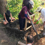 I attended my first natural building workshop today and recommend it.