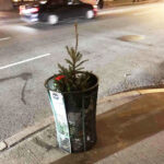 Ten days before Christmas people are already throwing away their Christmas pagan trees.