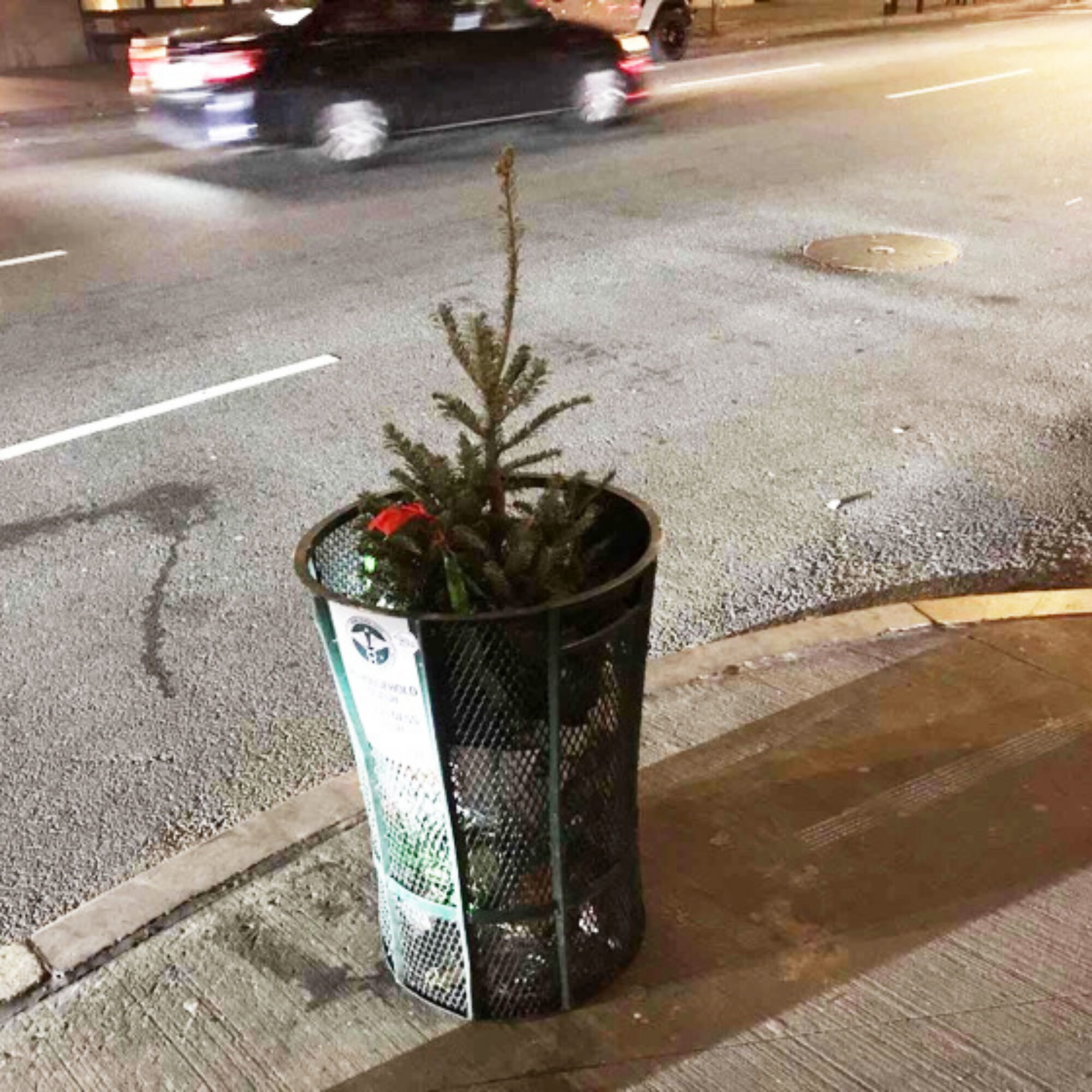 Ten days before Christmas people are already throwing away their Christmas pagan trees.