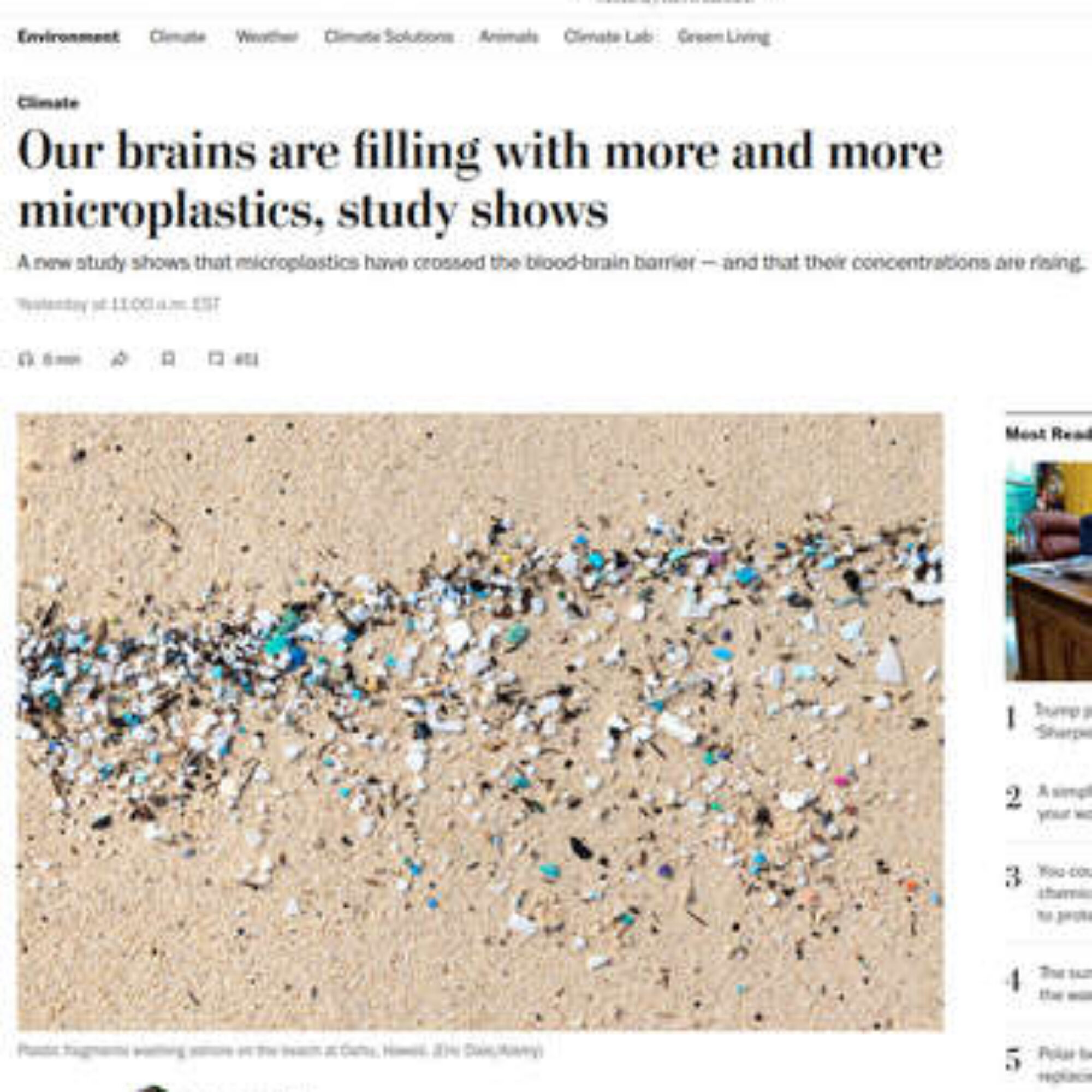 Plastic appears more poisonous than you think, especially to your brain. You’d rather know these findings than not.