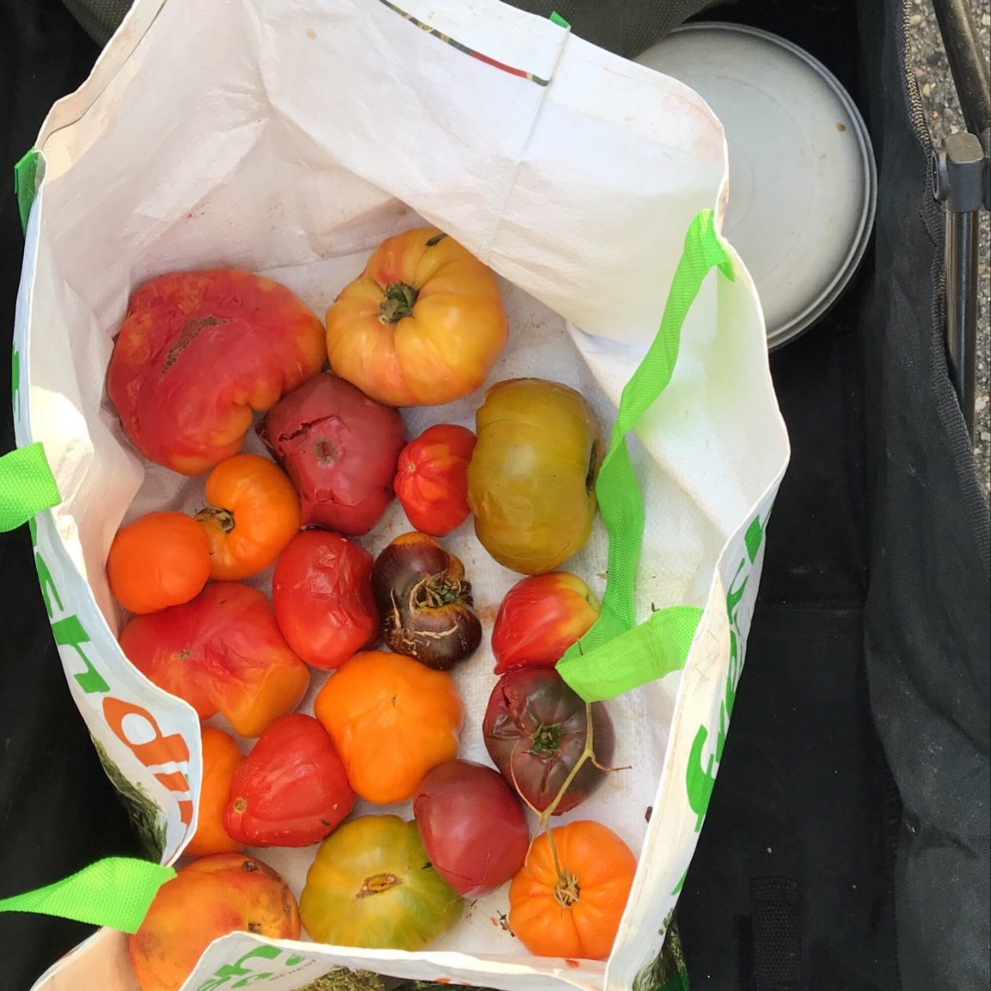 Heirloom tomatoes, a local pear tree, and a local fig tree