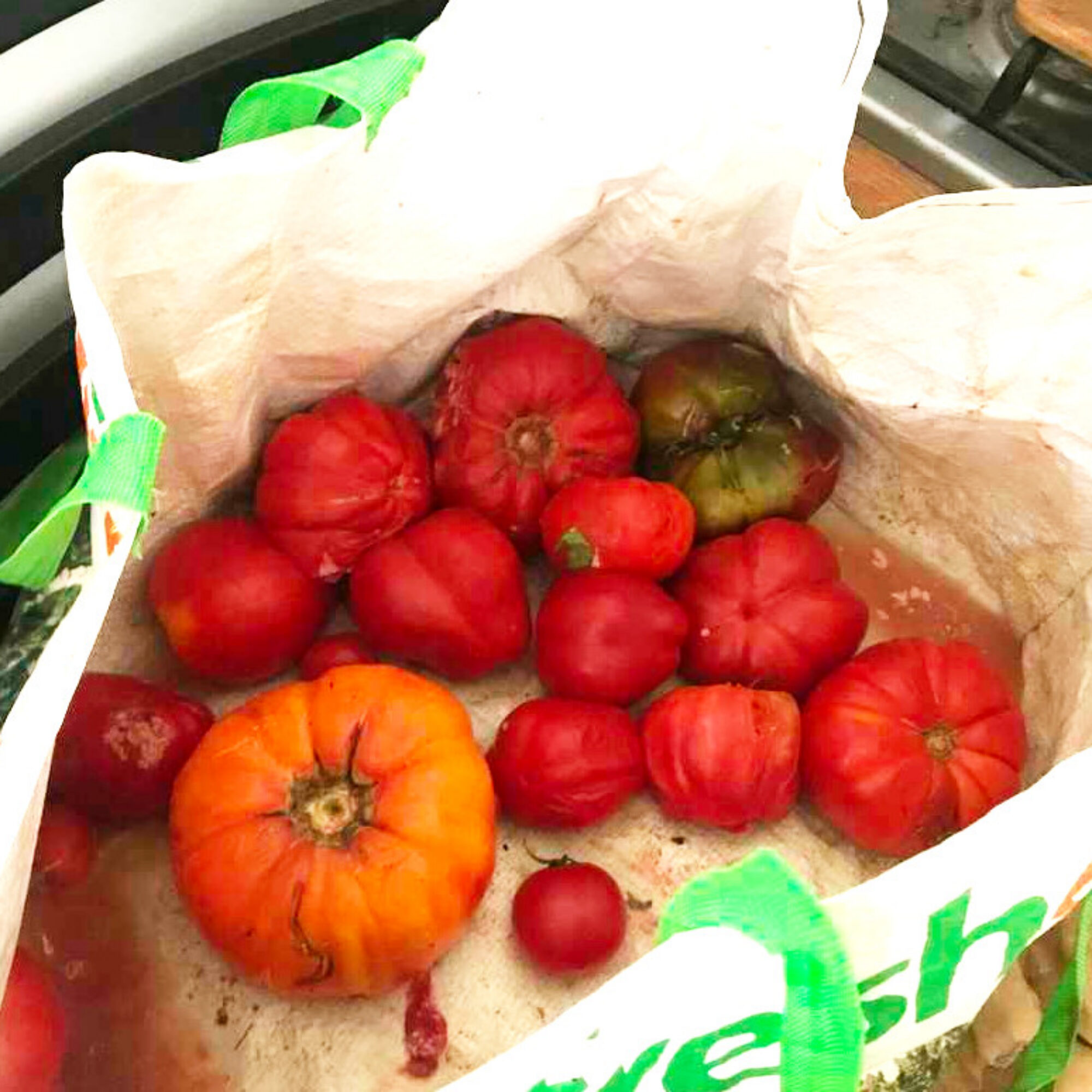 More delicious free heirloom tomatoes that volunteers and poor people rejected but I turned into gazpacho