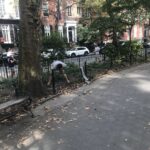 More drugs: a woman pooping in the park in broad daylight and more junkies shooting up in my neighborhood