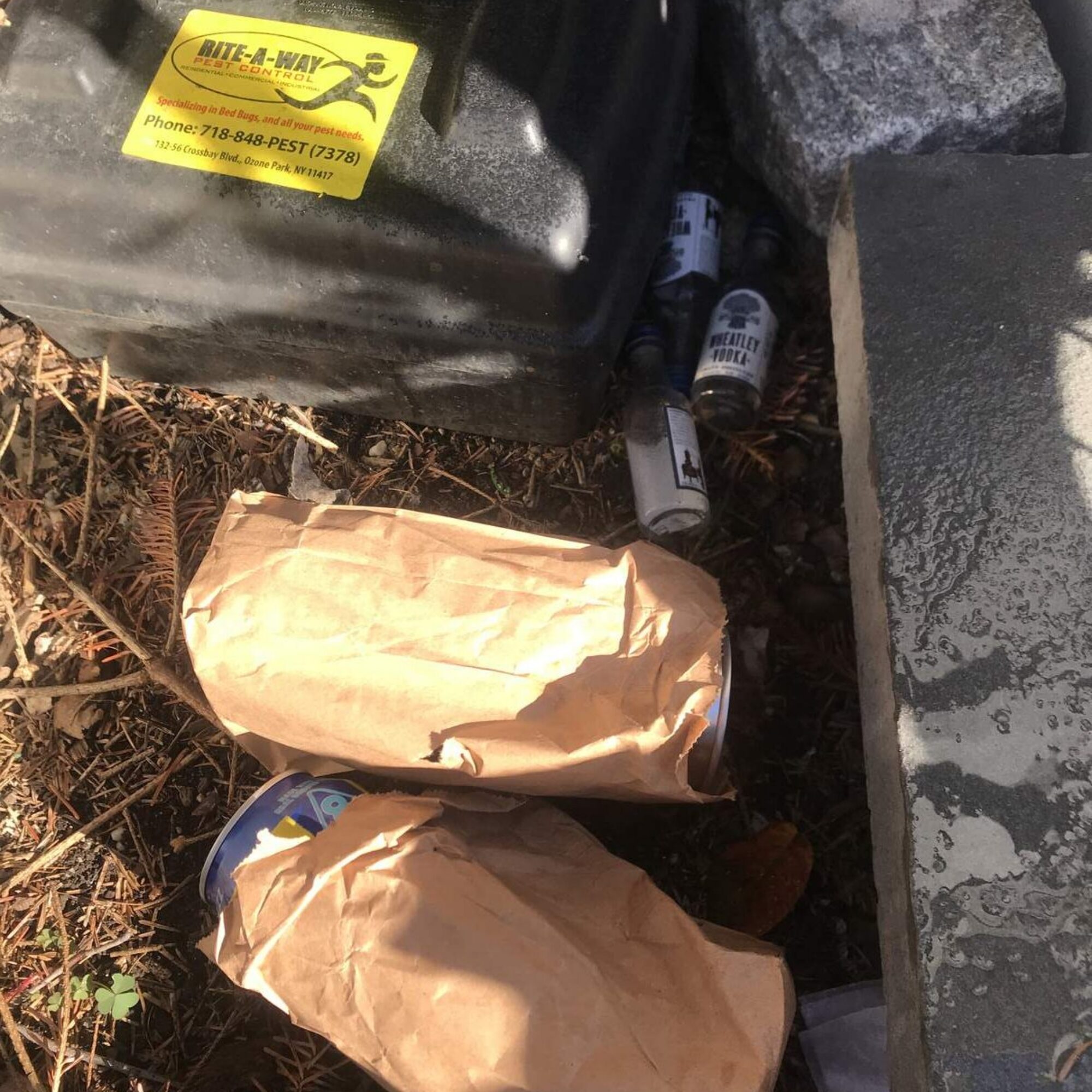 Garbage people throw in my building’s garden every day