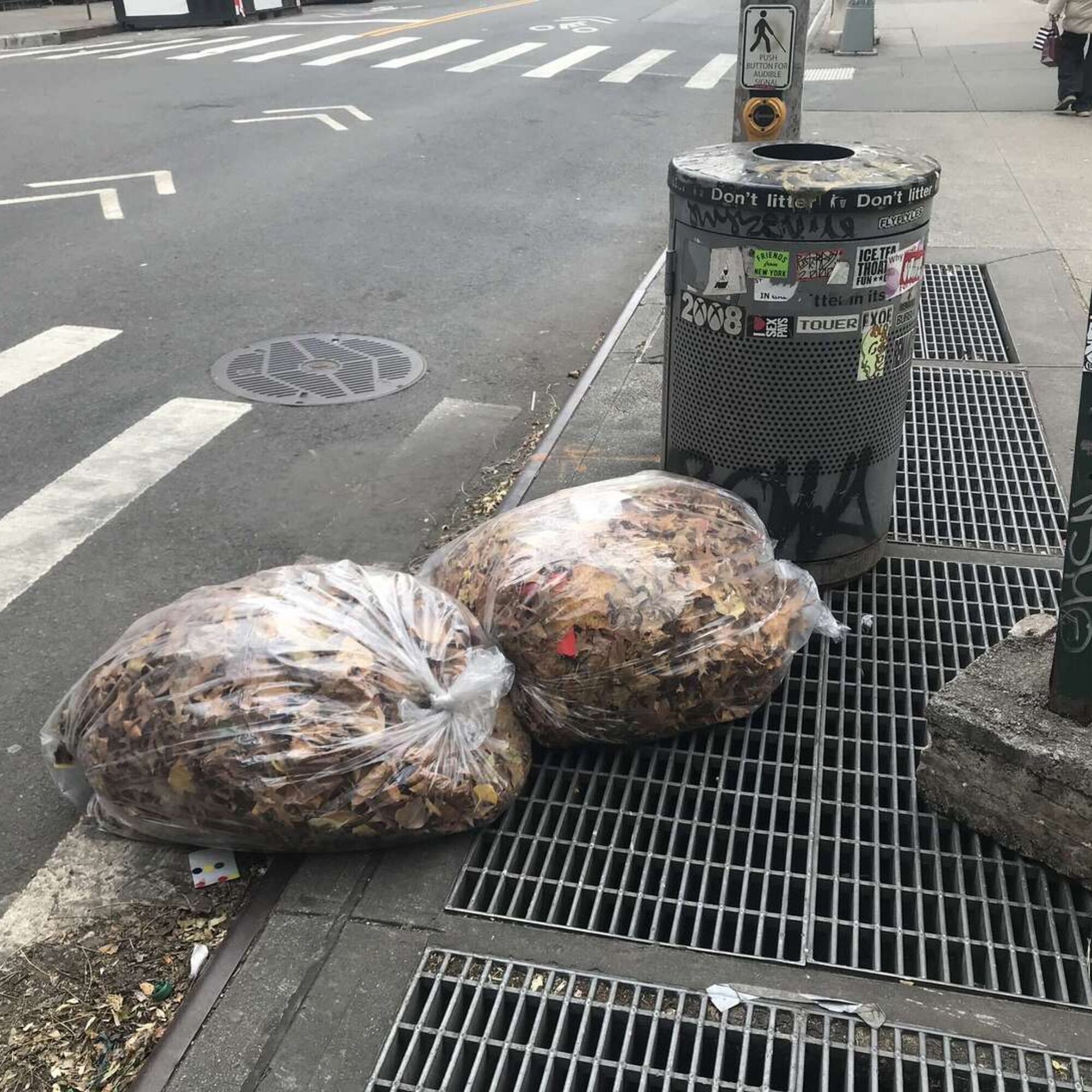More garbage insanity: collecting leaves and sending them to landfill