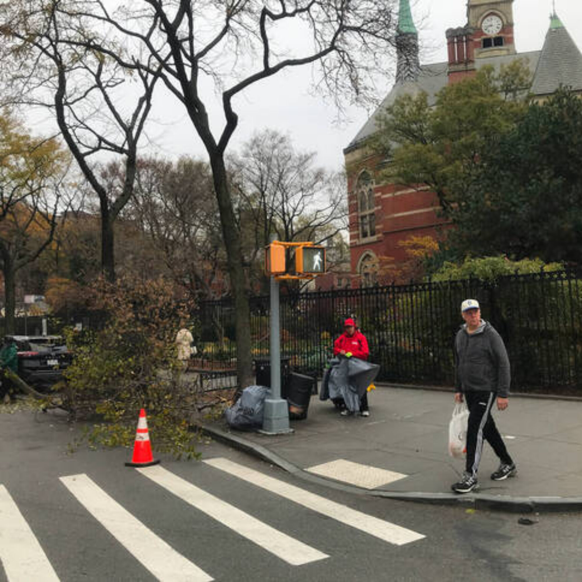 They chopped down the only two apple trees in a local park