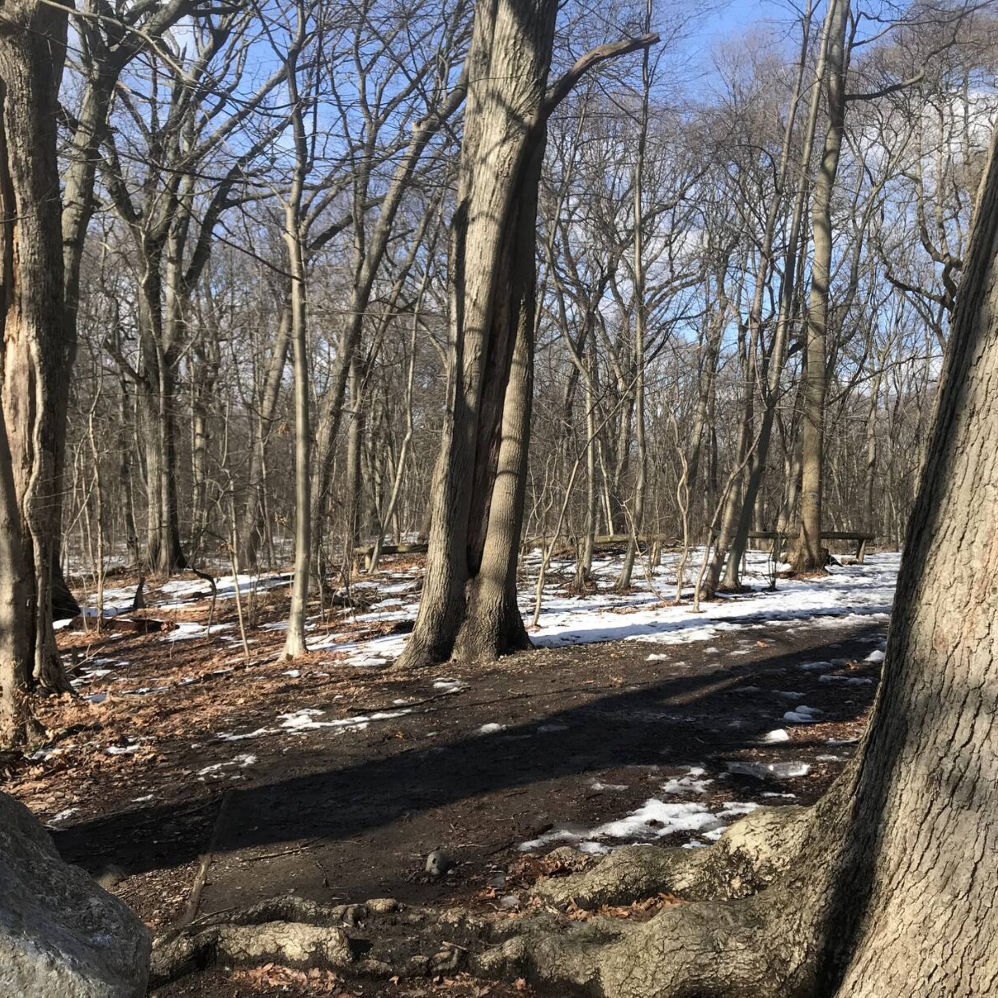 Another Spodek Method commitment: a walk in the park with family
