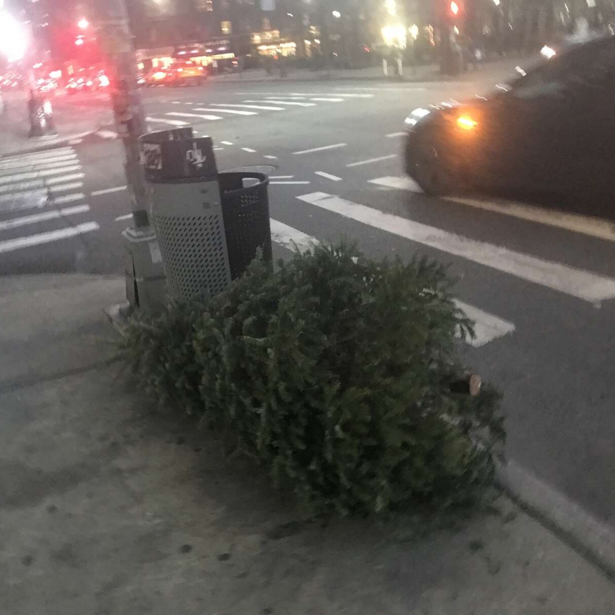 I’m not looking for them, but hours after my last post: more trashed Christmas Pagan Trees