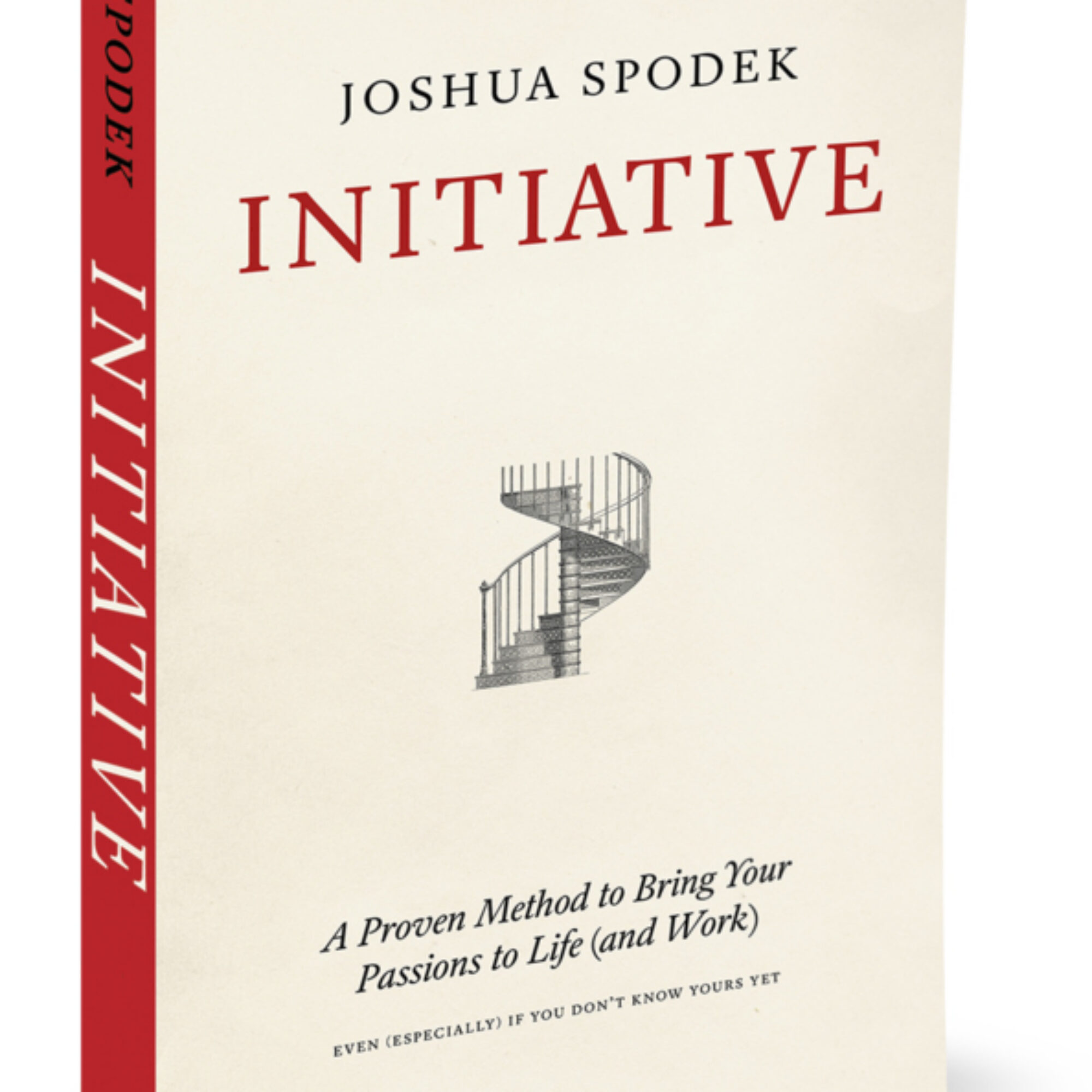 A description of my book Initiative