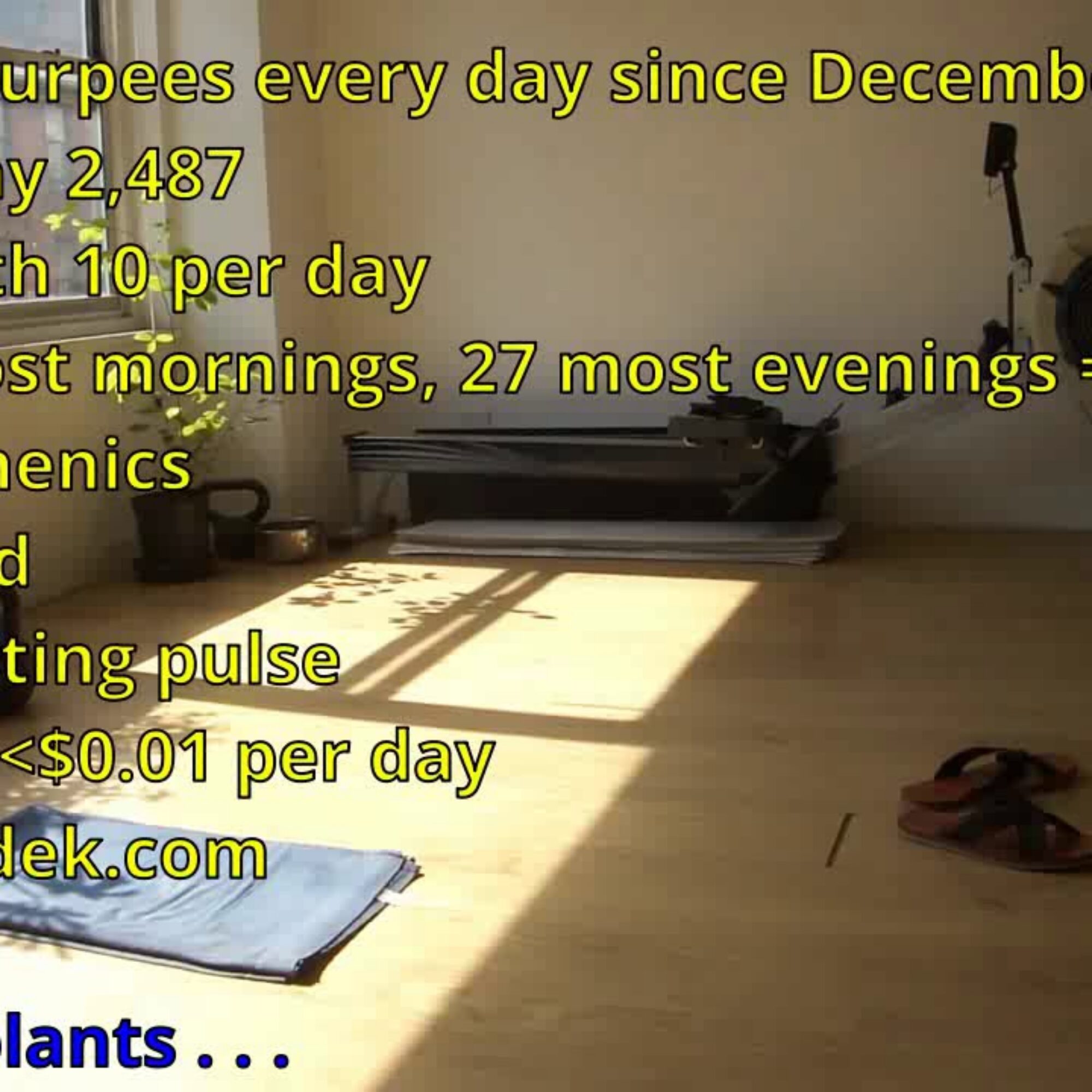 World Burpee Day