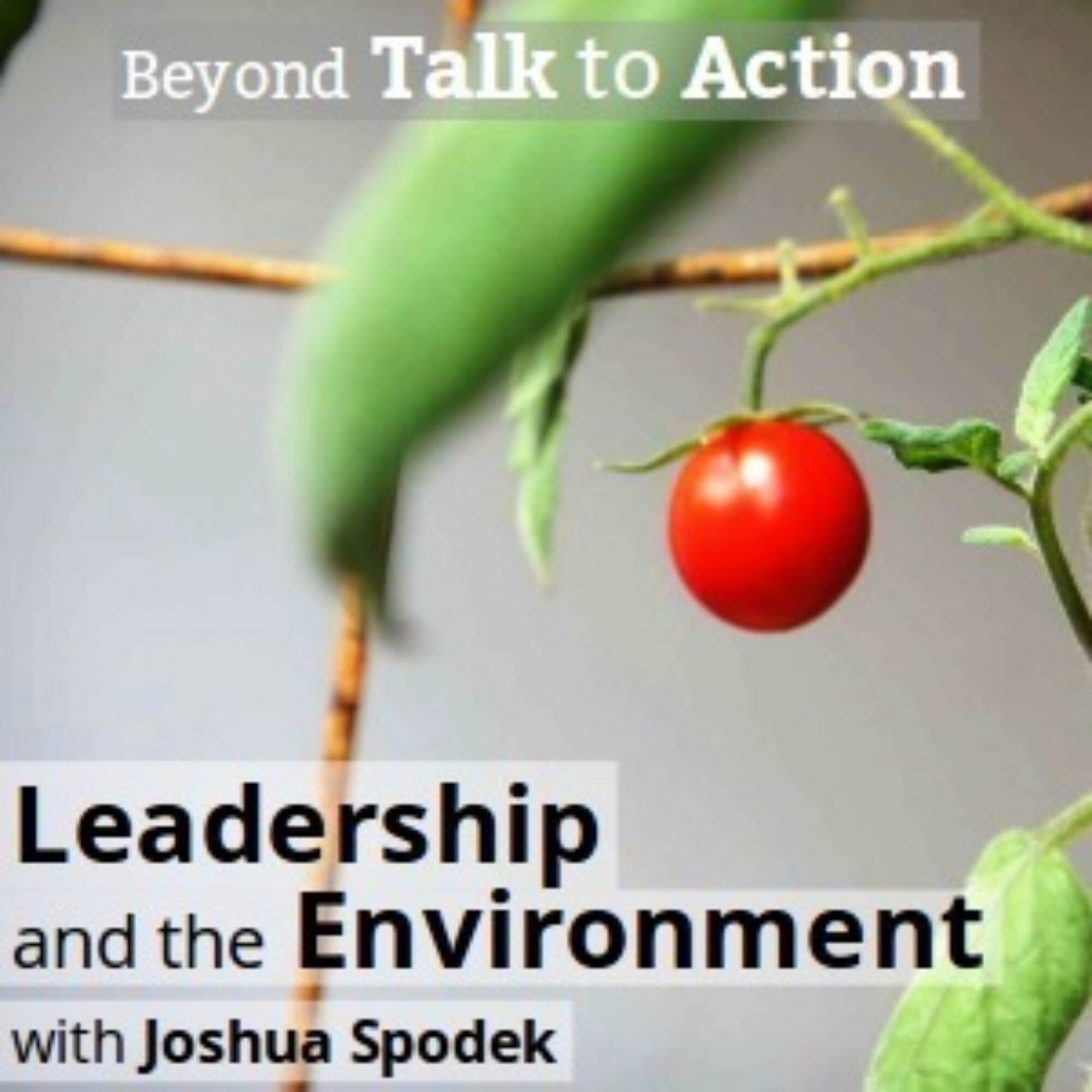 How to Lead People So They Want You to Lead Them Again… and help the environment