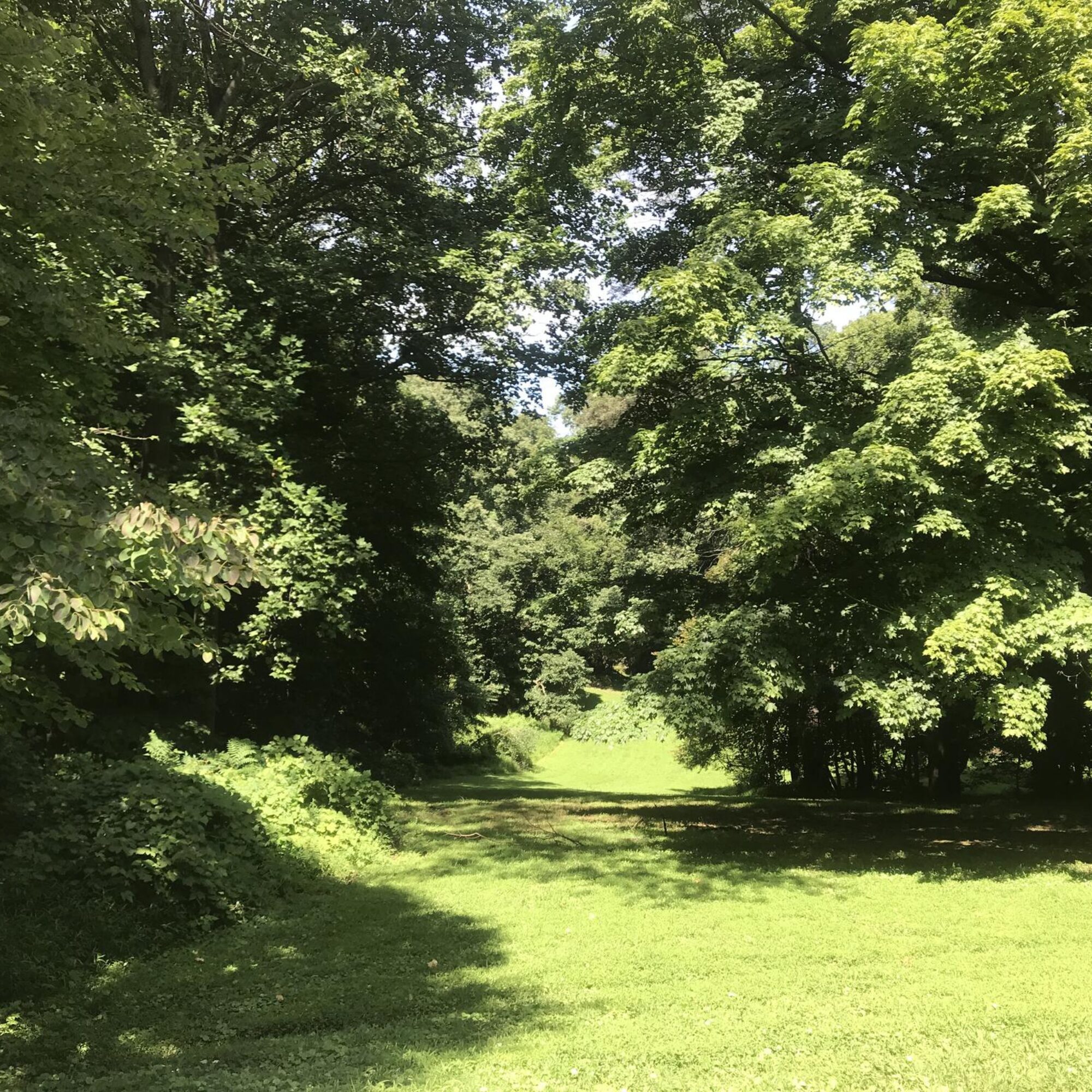 More of my park visit besides where they mugged me