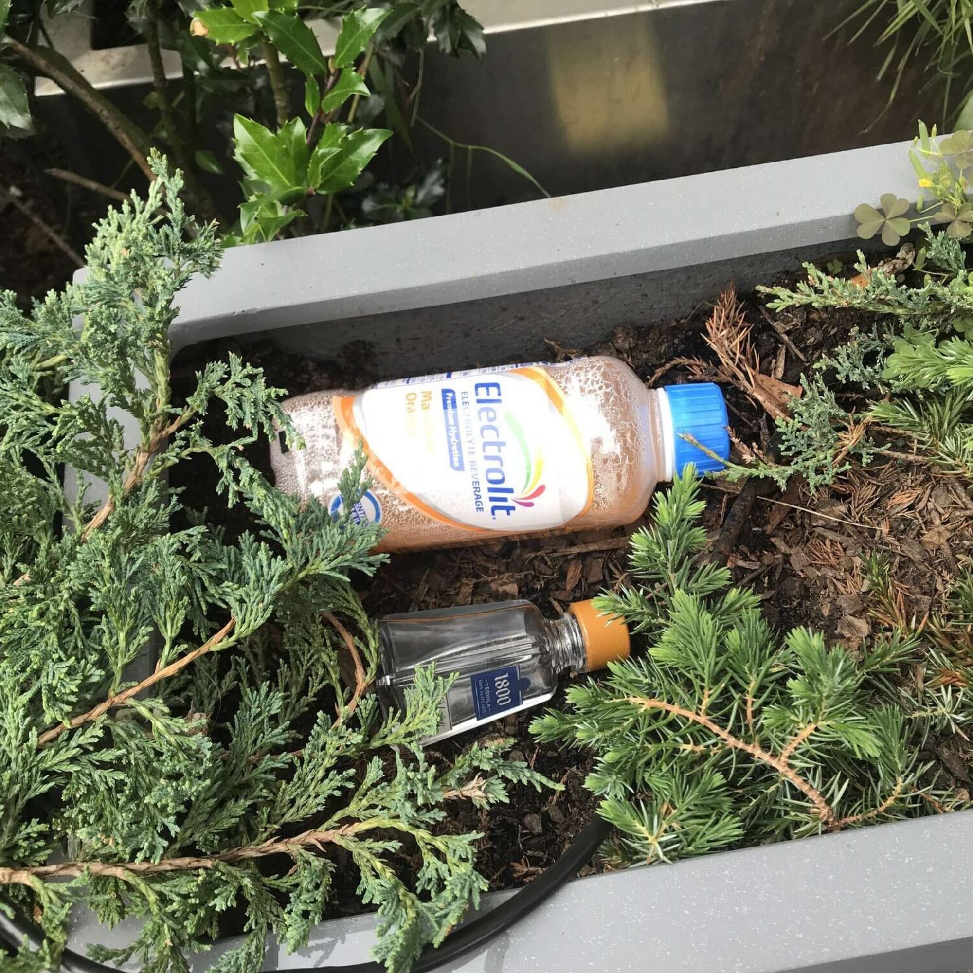 More casual trashing of an otherwise pleasant residential neighborhood