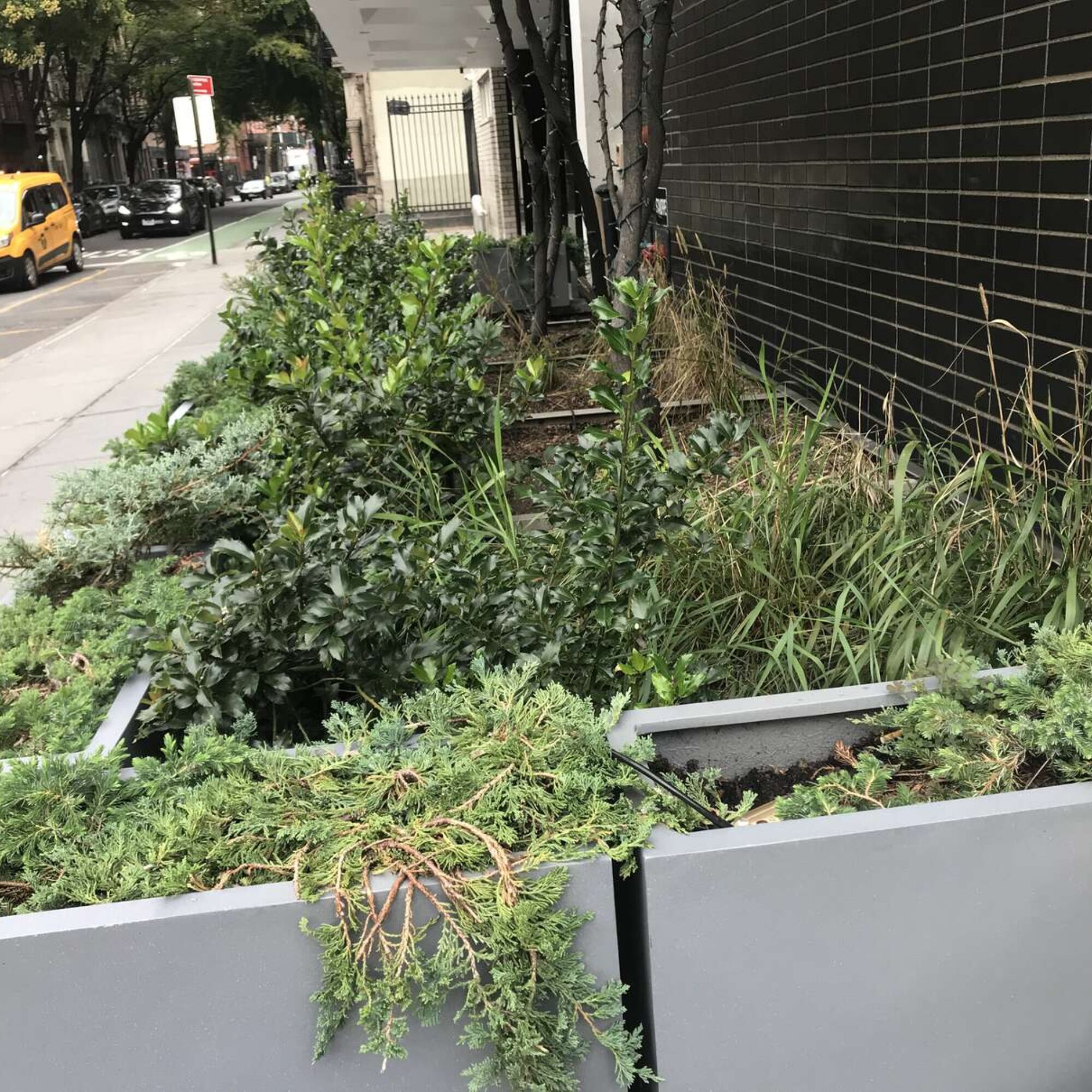 How our society treats a building’s garden